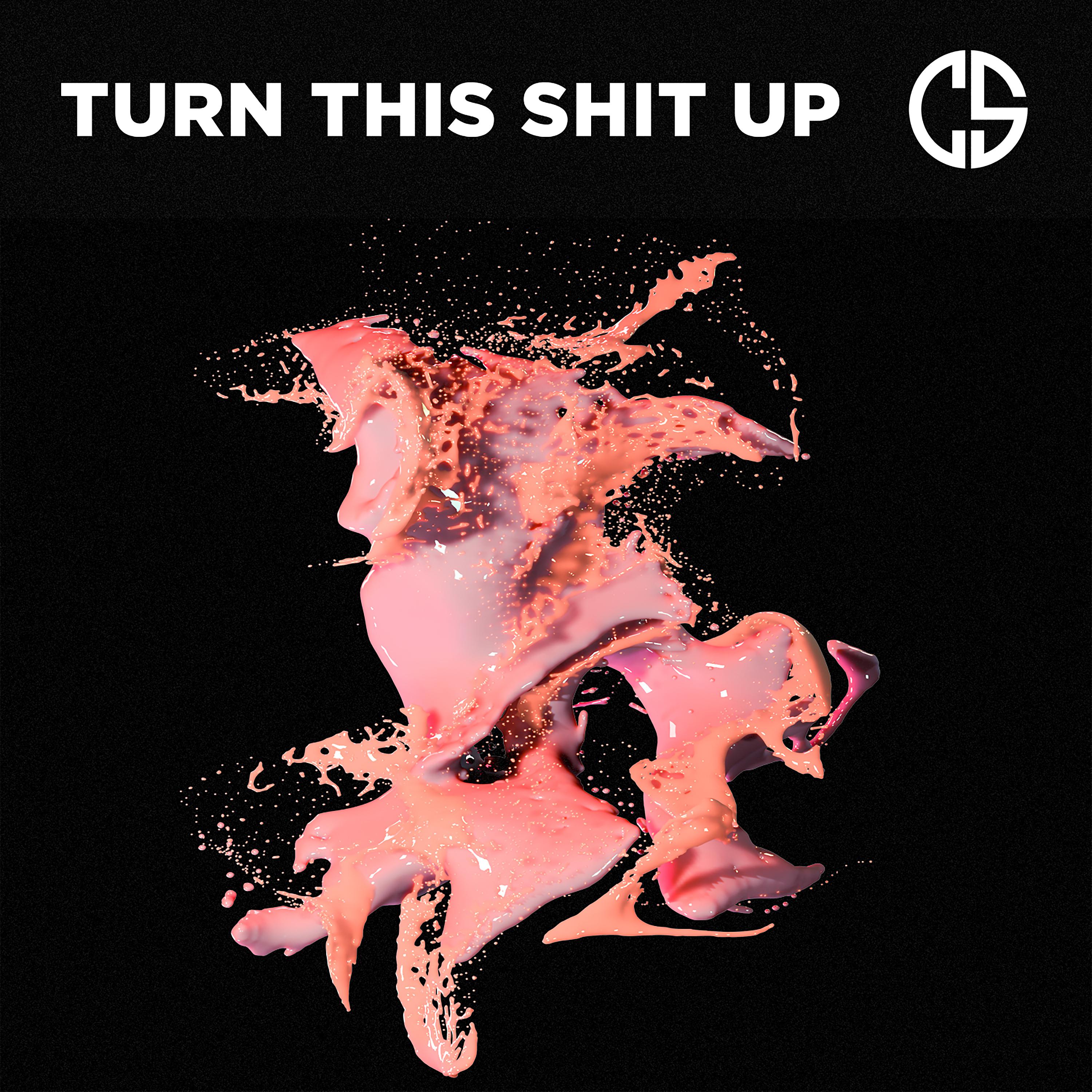 Постер альбома Turn This Shit Up