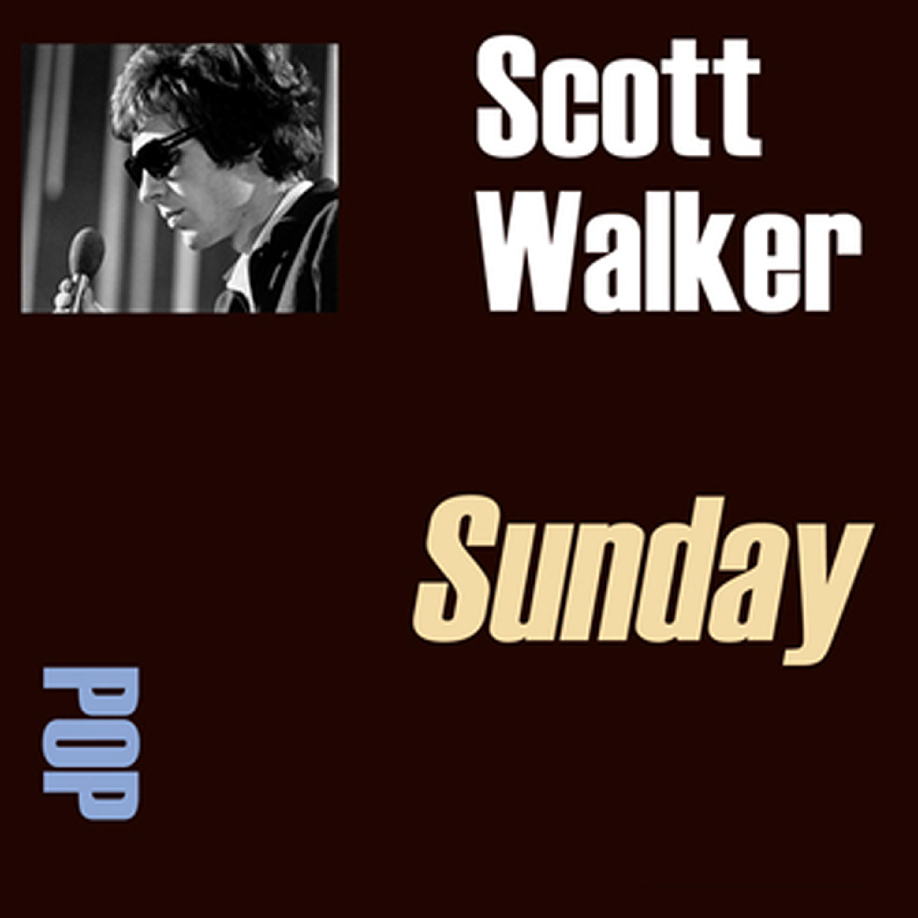 Scott Walker - Till You Return