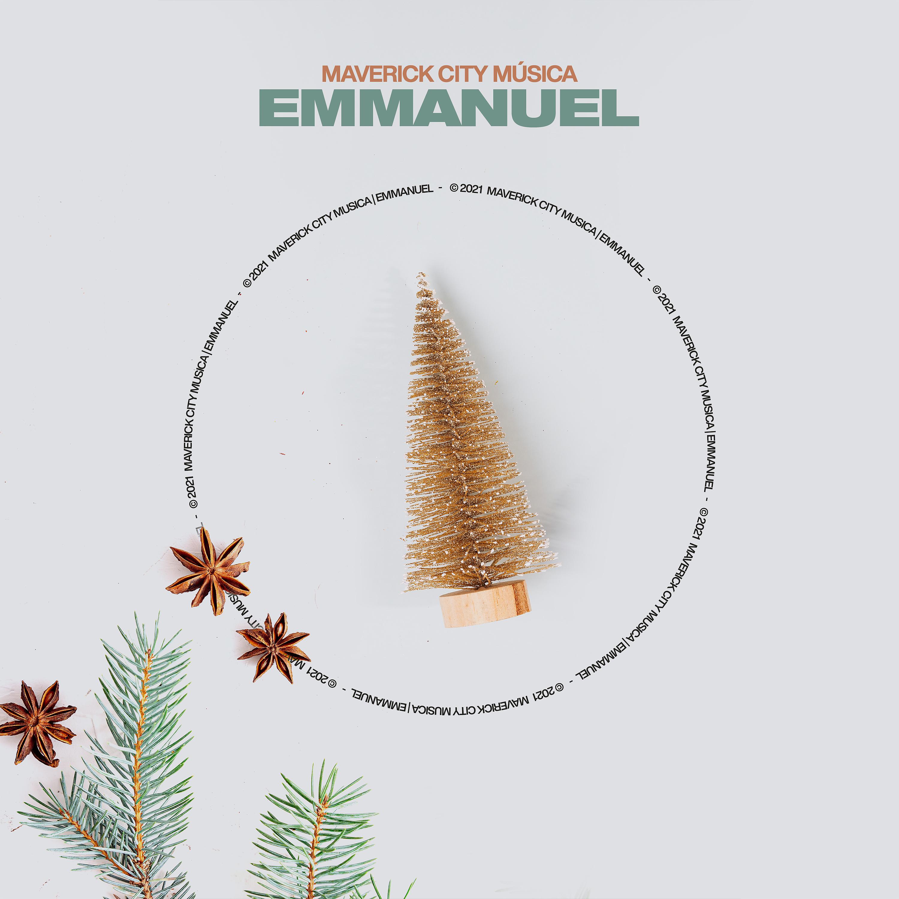 Постер альбома Emmanuel (Radio Version)
