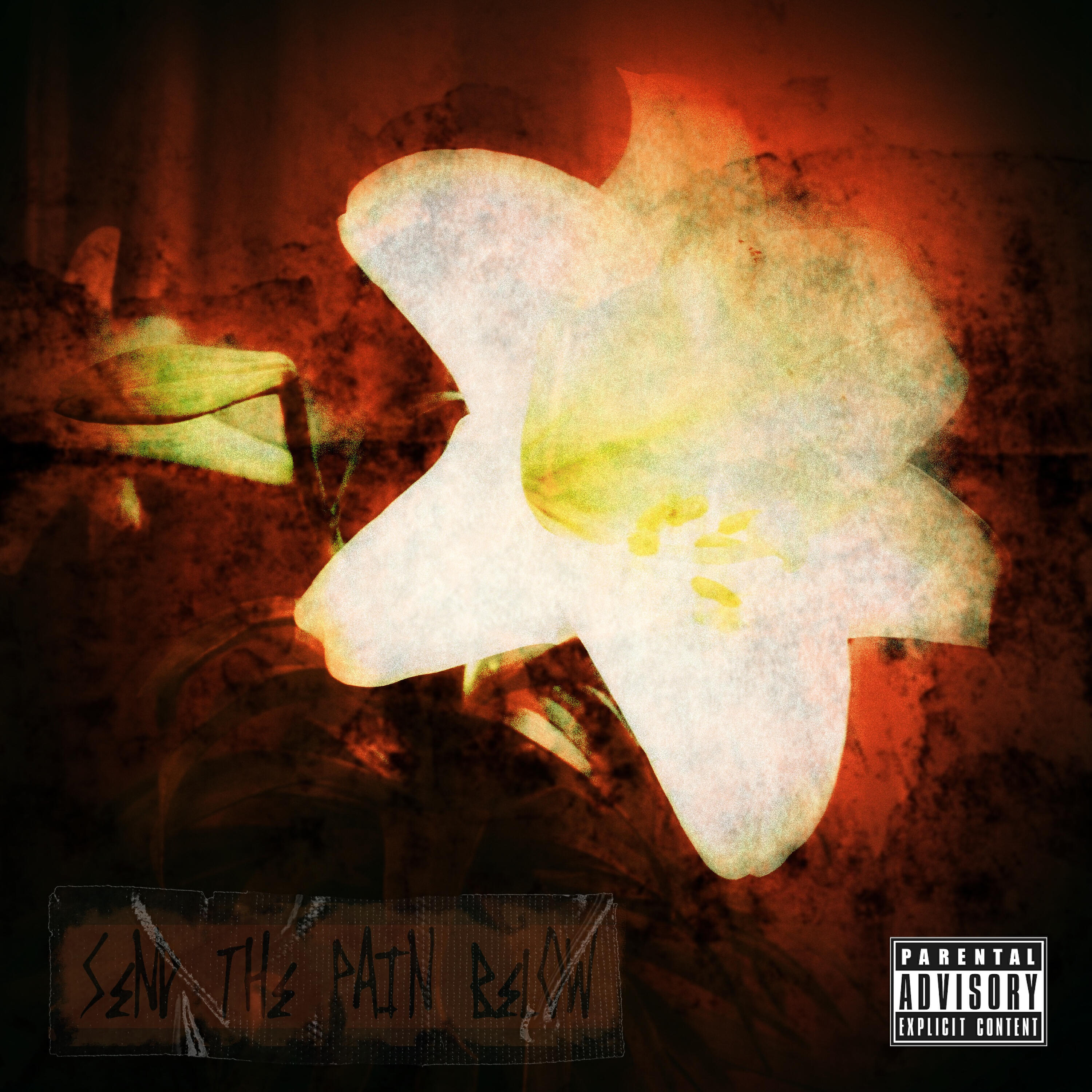 Cremation Lily - Falling Away from Me