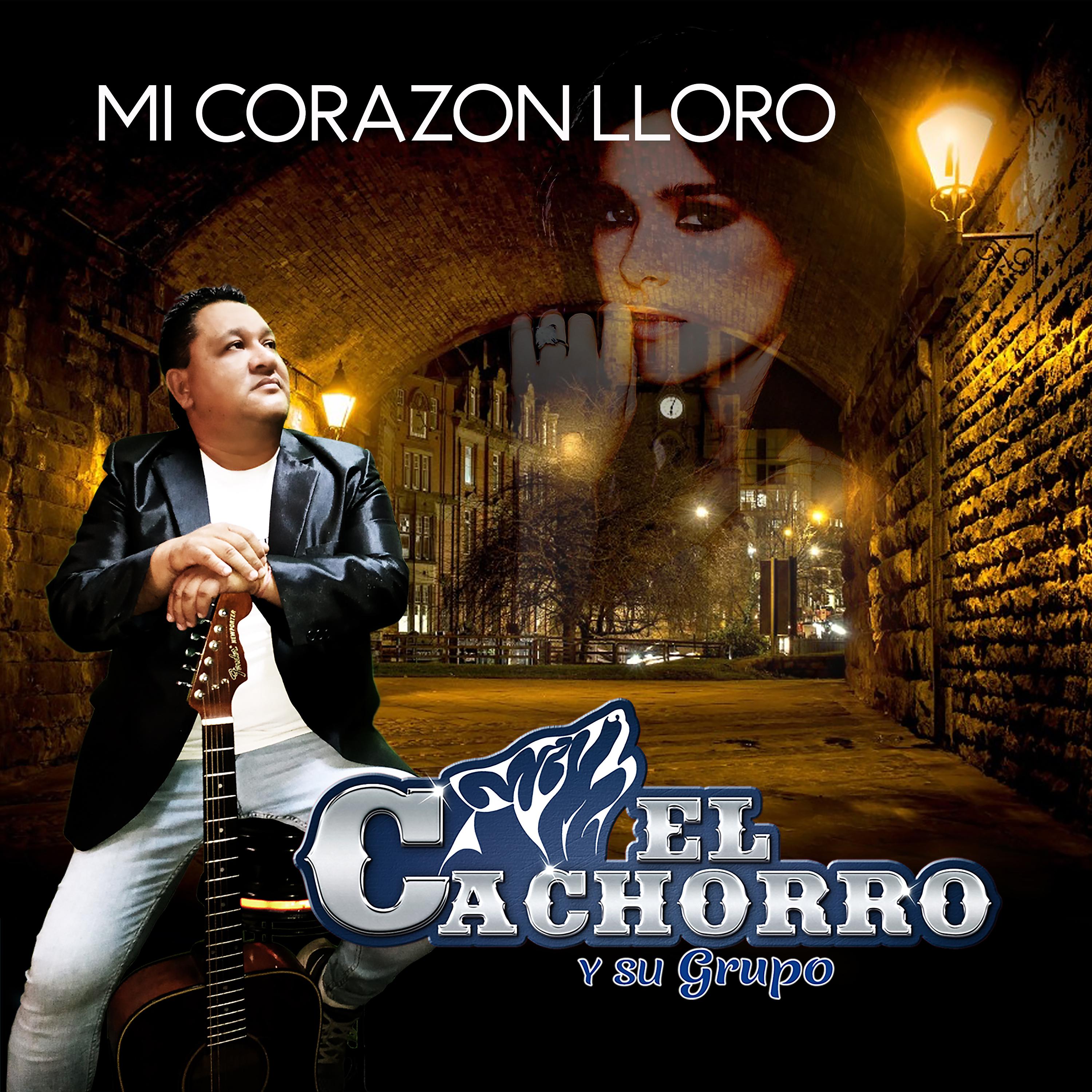 Постер альбома Mi Corazon Lloro