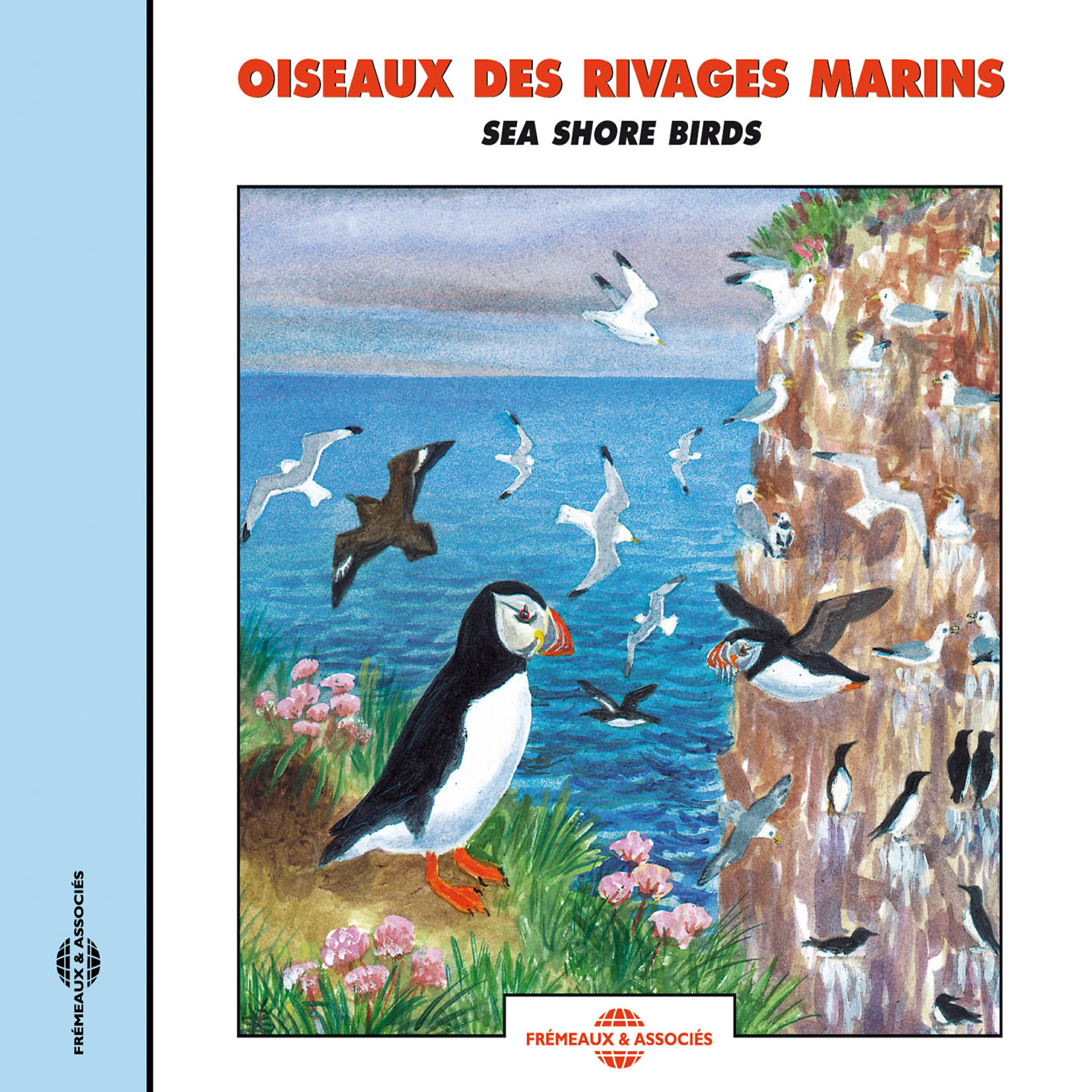 Pingouin Torda - Pingouin Torda Cris Mélés À Ceux D'un Goëland Arge