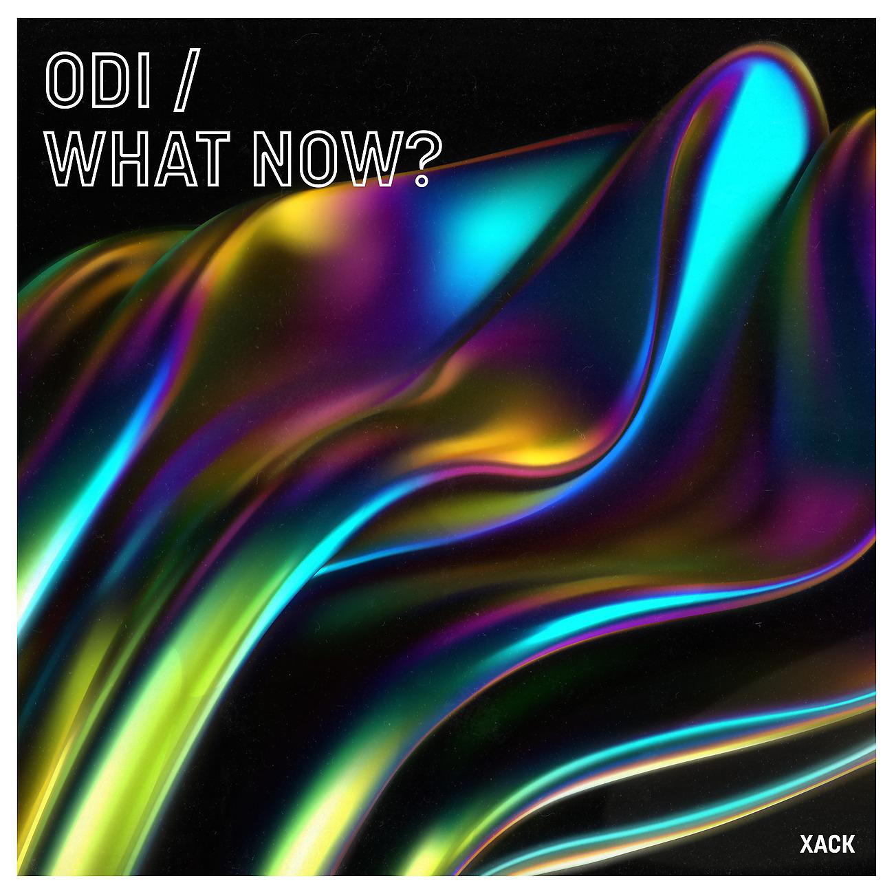 Постер альбома Odi / What Now?