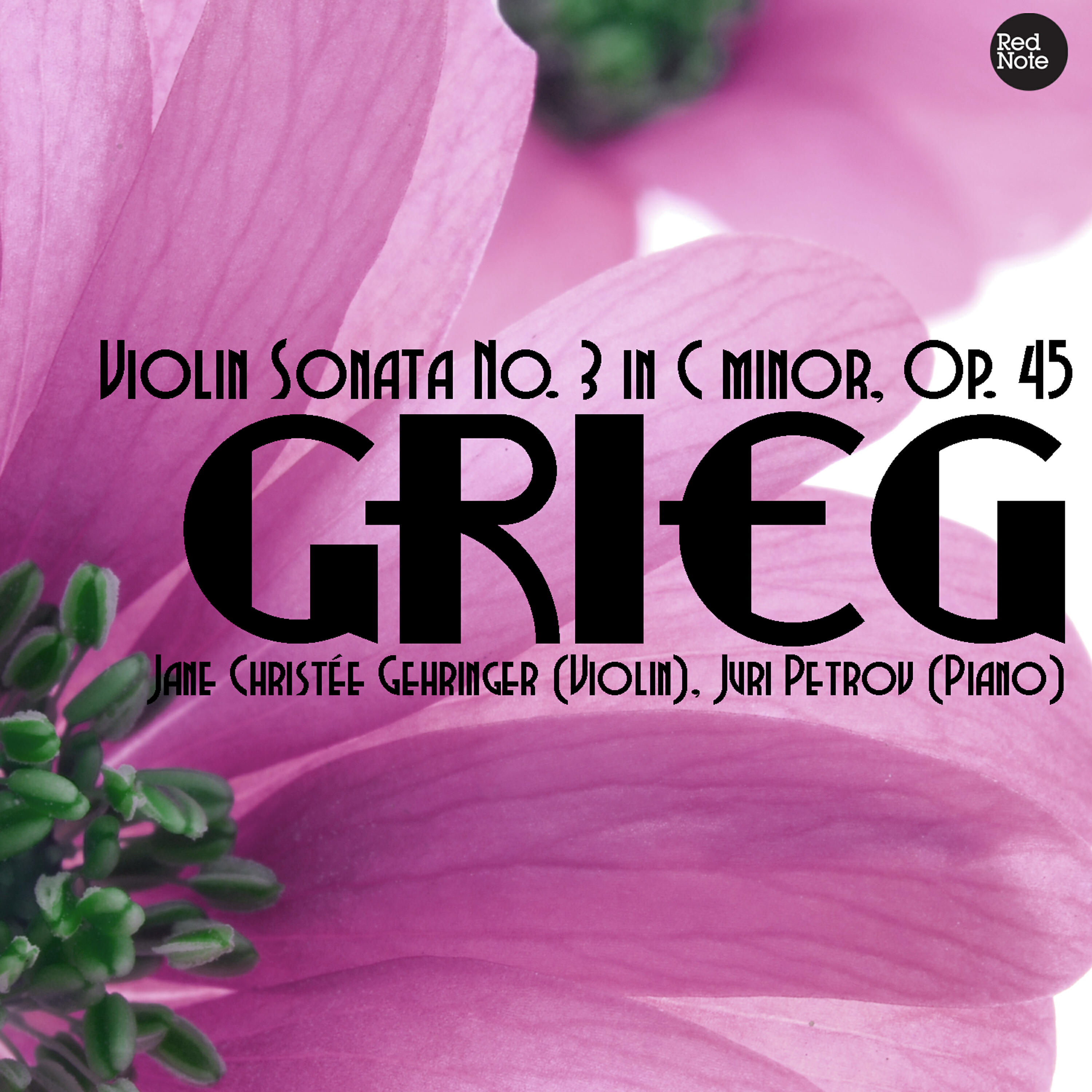 Jane Christee Gehringer - Violin Sonata No. 3 in C minor, Op. 45: I. Allegro molto ed appassionato