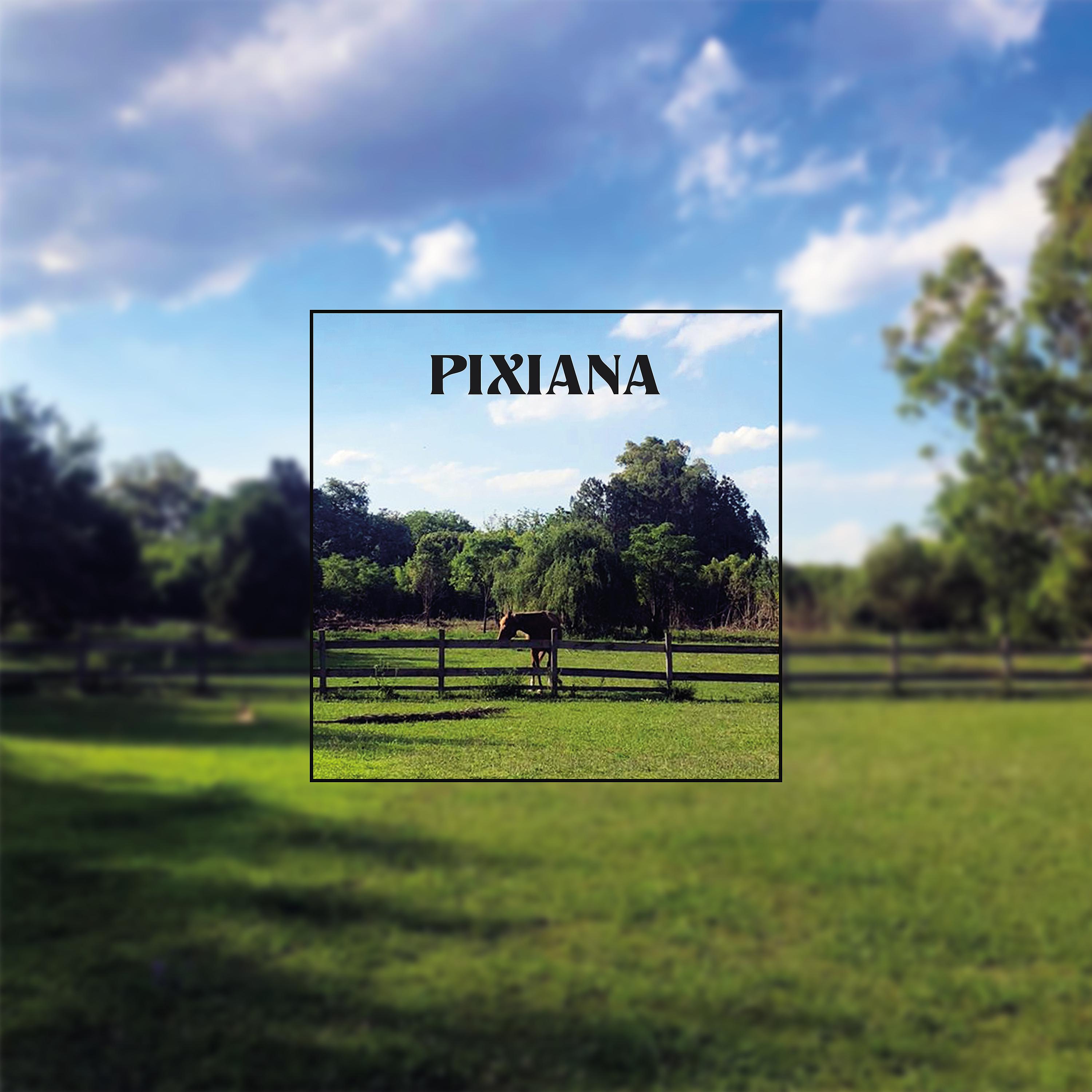 Постер альбома Pixiana