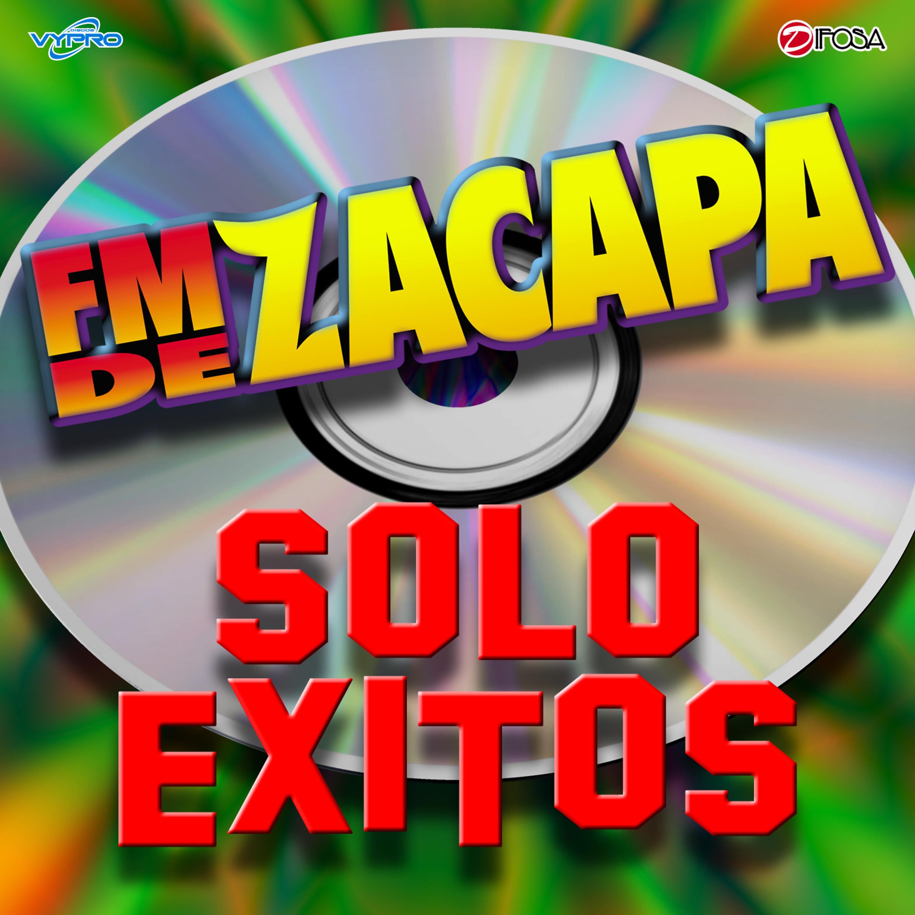 Постер альбома Solo Exitos De FM De Zacapa