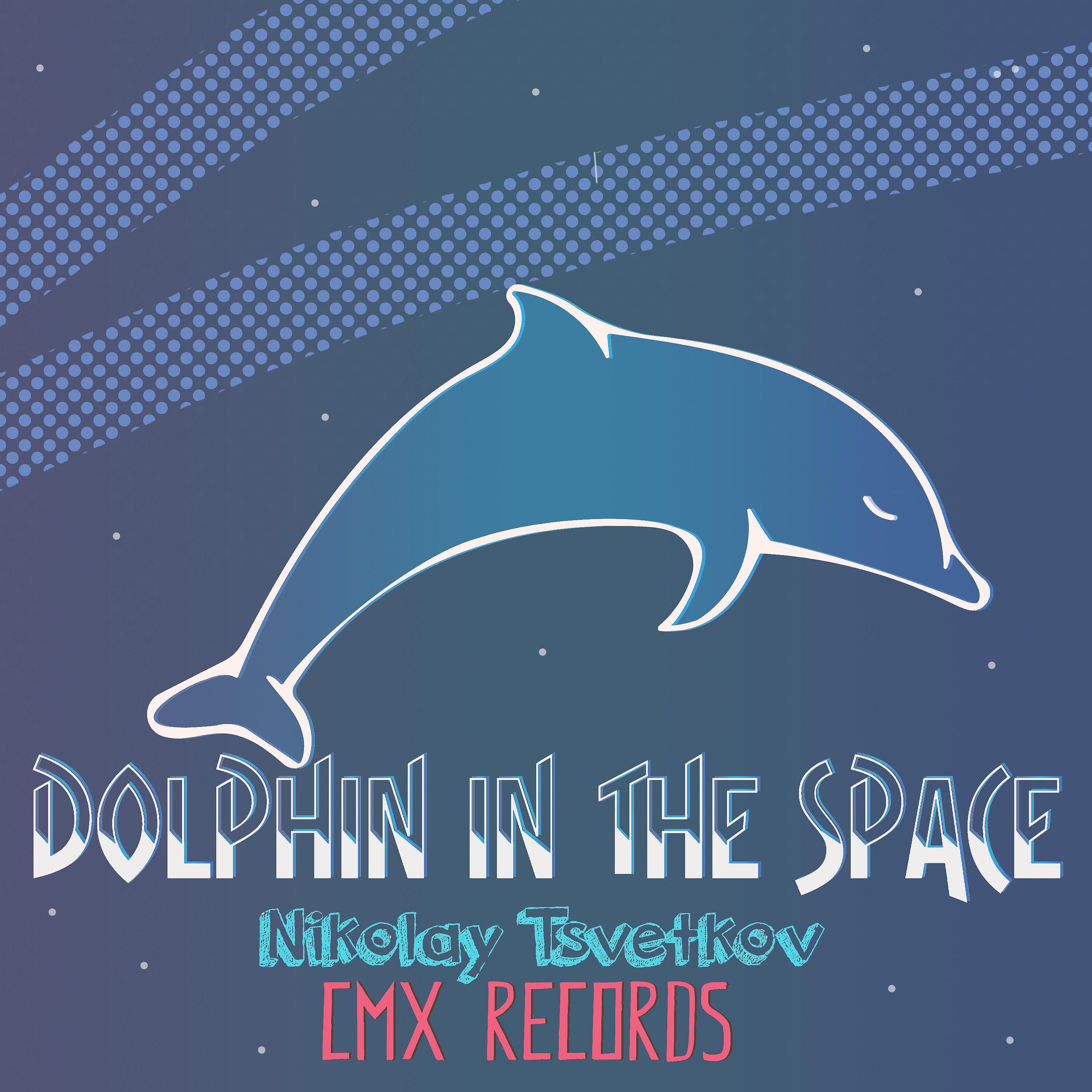 Постер альбома Dolphin in the Space