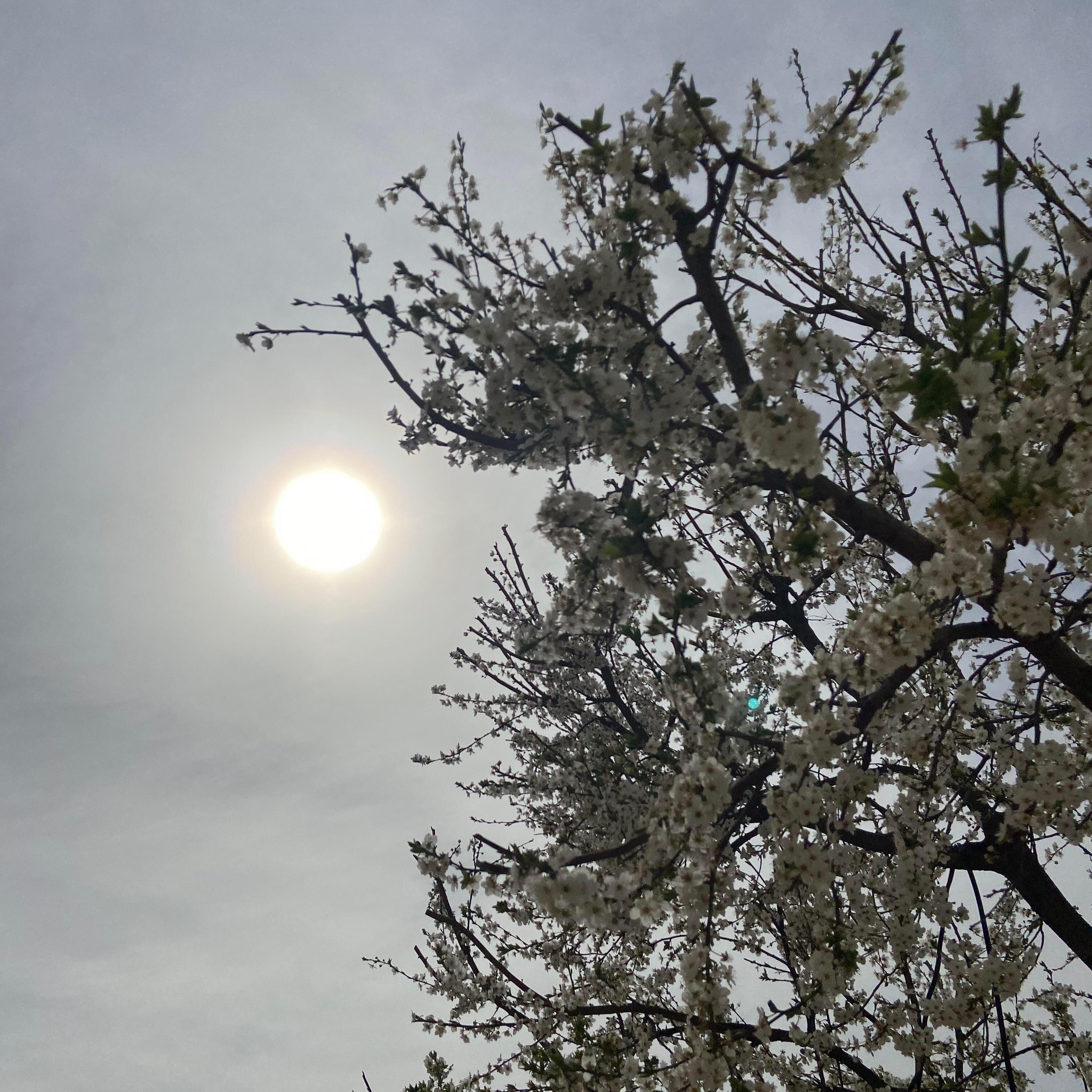 Nigato все песни в mp3