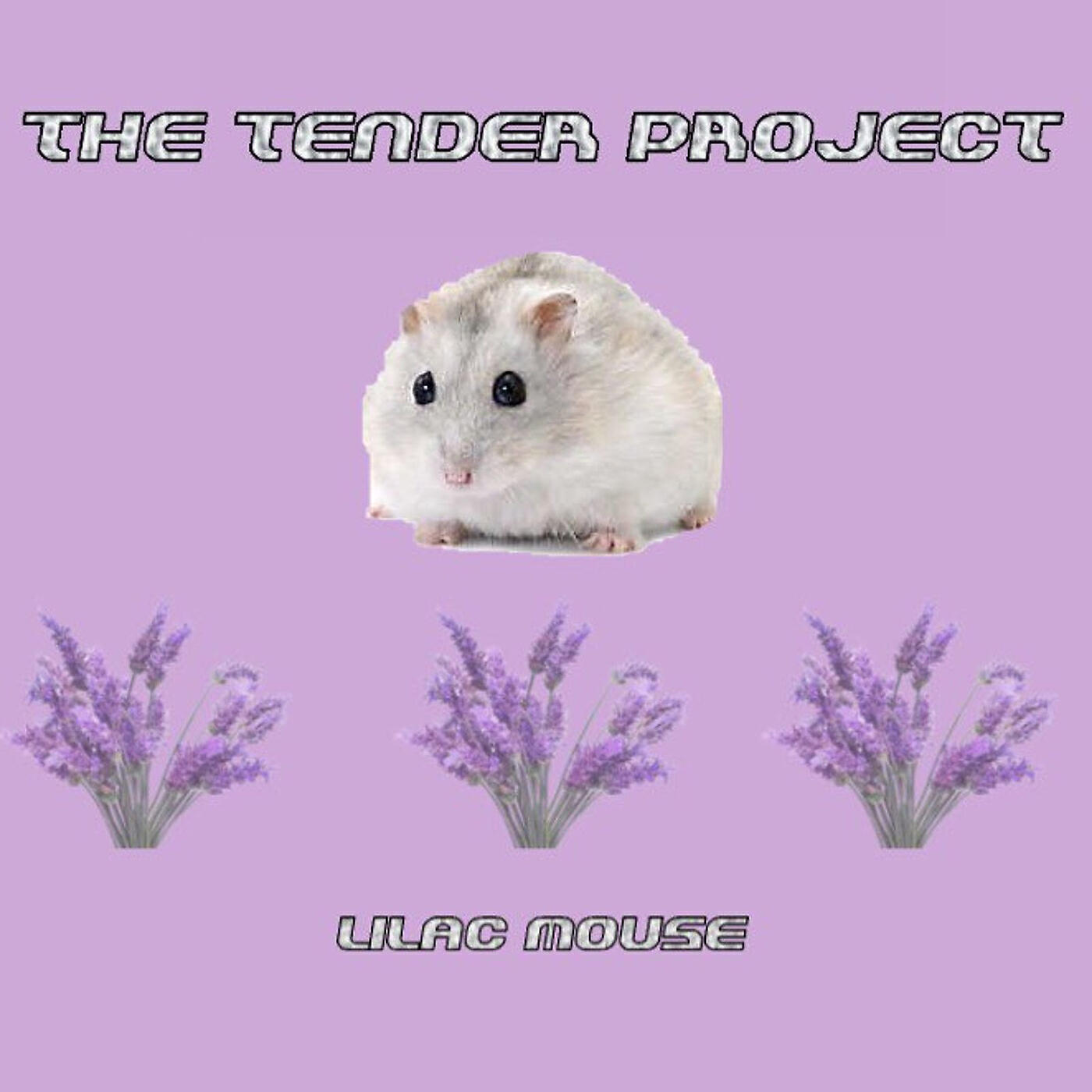 Lilac Mouse все песни в mp3