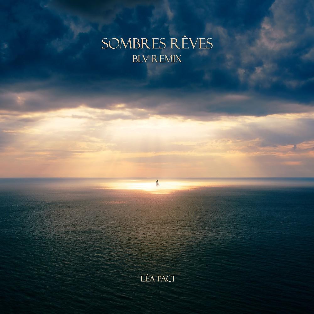 Постер альбома Sombres rêves (Remix)