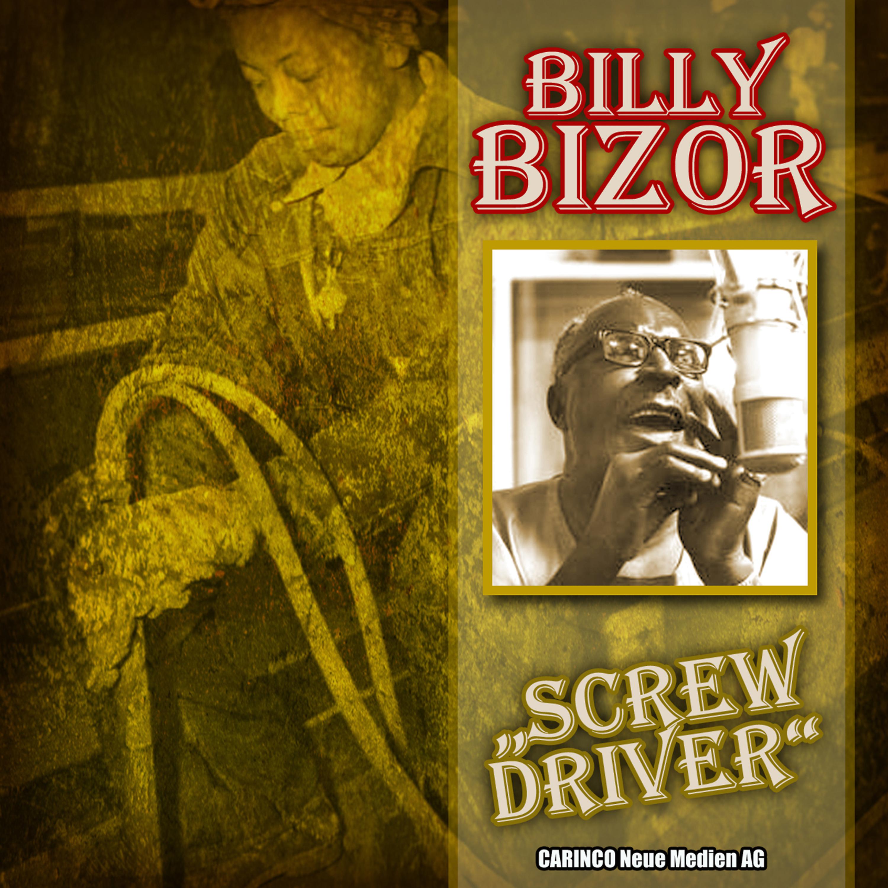 Постер альбома Billy Bizor a.k.a. Billy Bizer - Screwdriver“ (Original-Recordings)