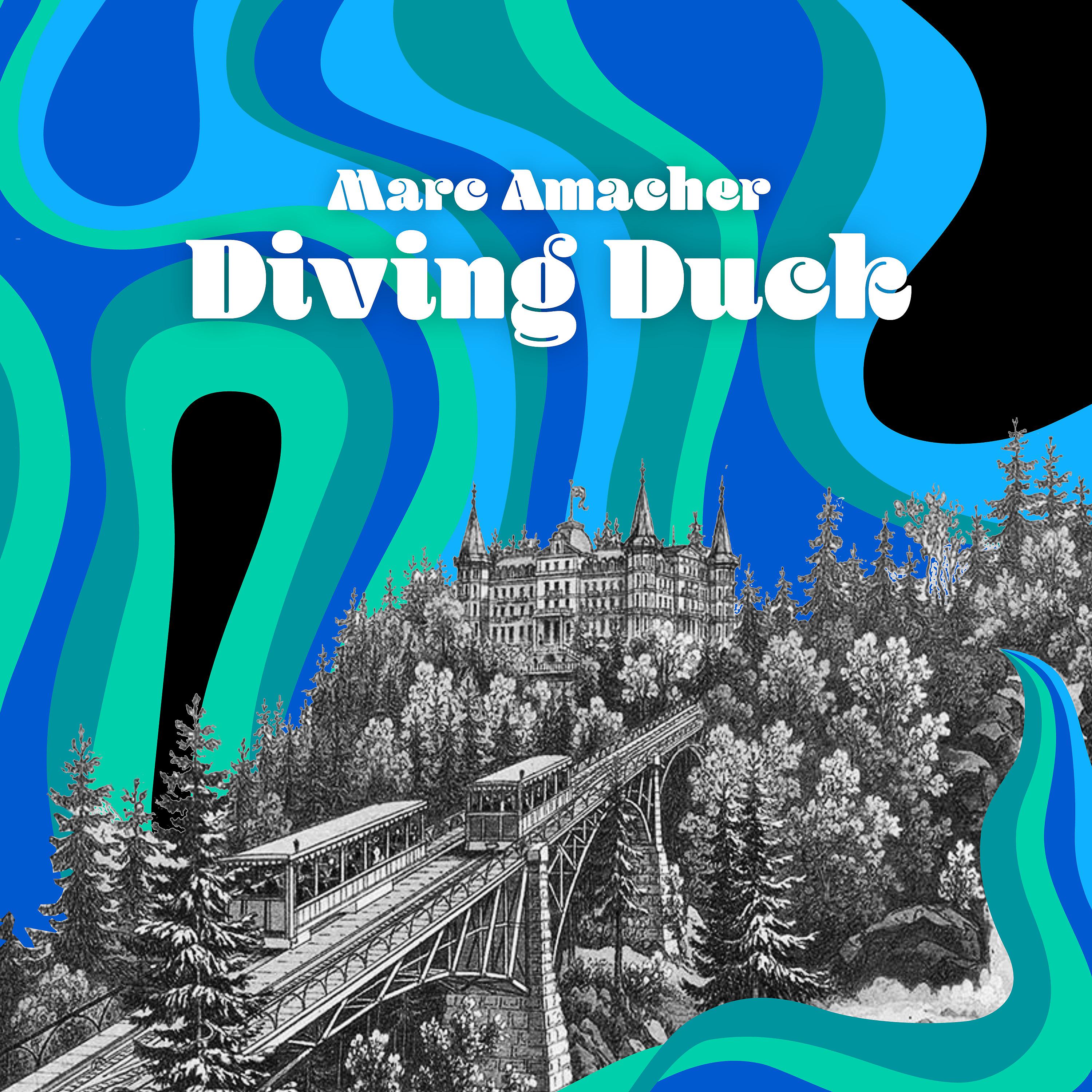 Постер альбома Diving Duck