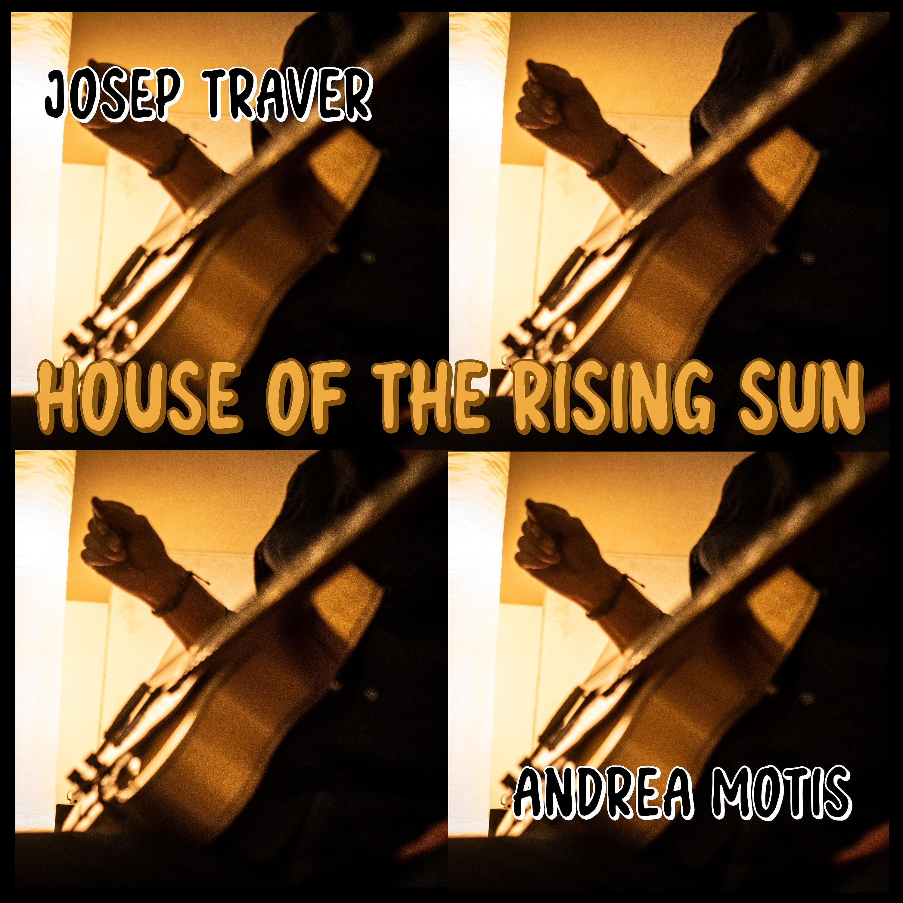 Постер альбома House of The Rising Sun