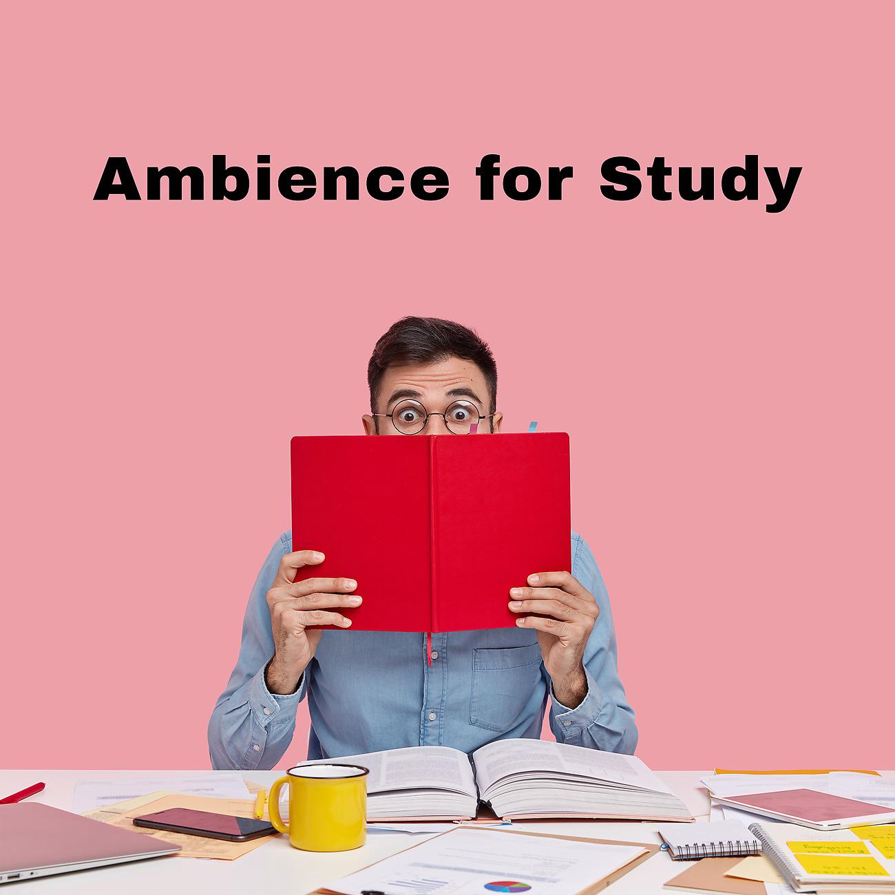 Постер альбома Ambience for Study