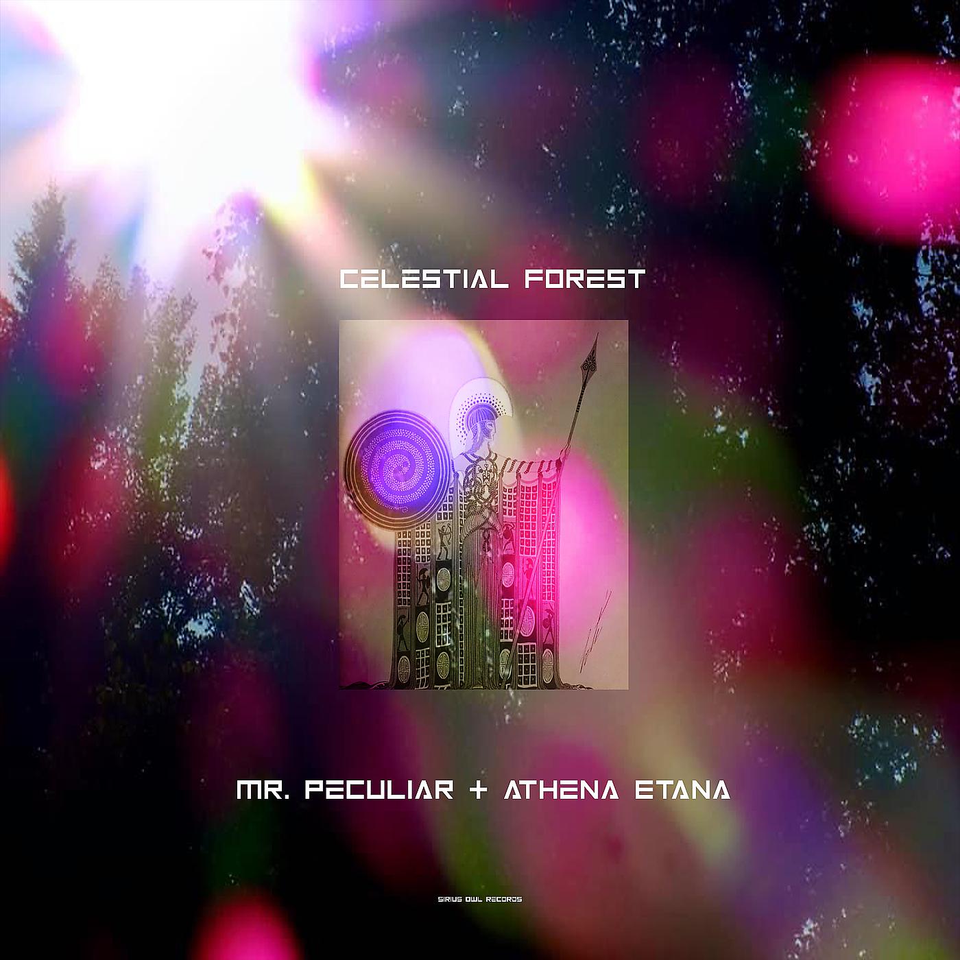 Постер альбома Celestial Forest