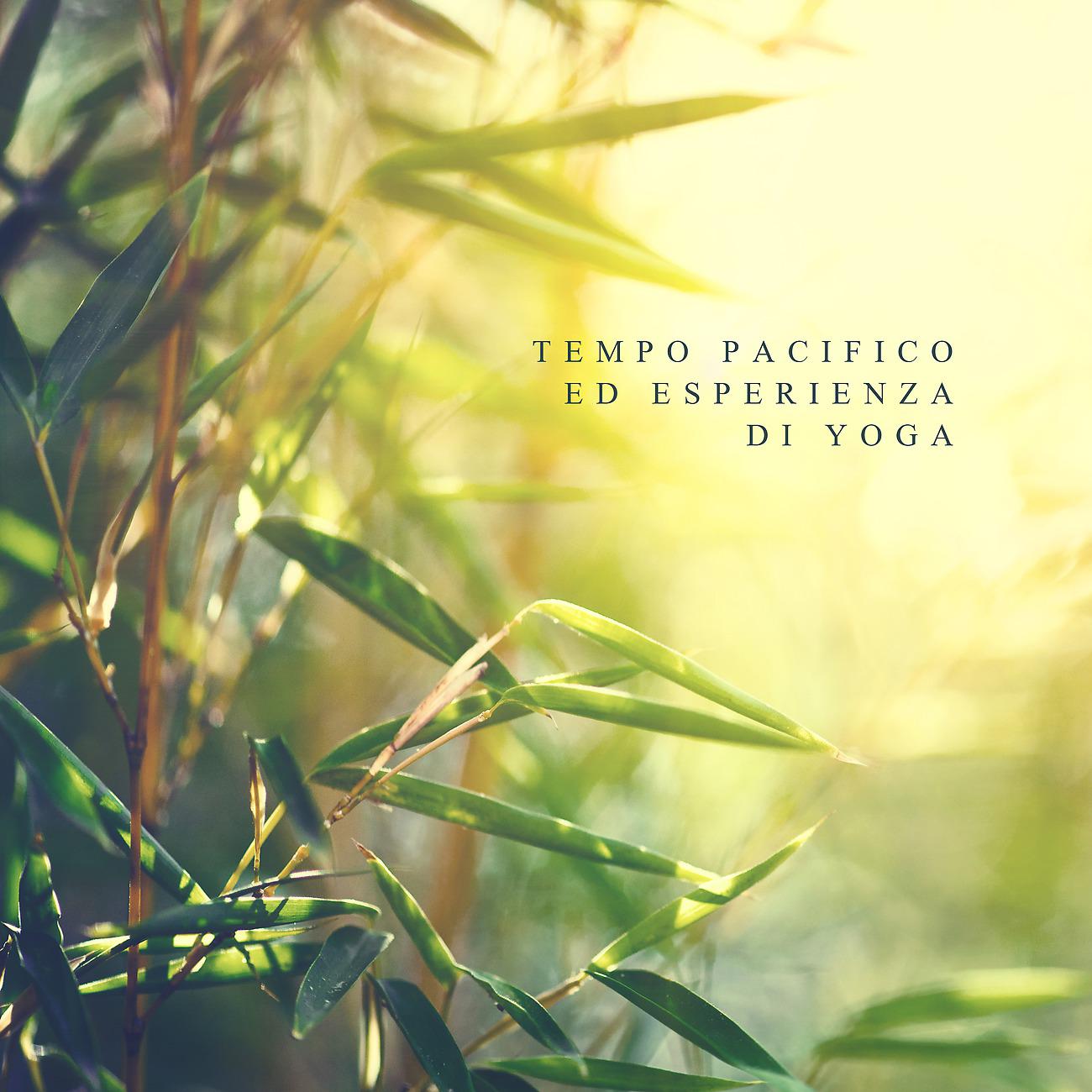 Постер альбома Tempo pacifico ed esperienza di yoga