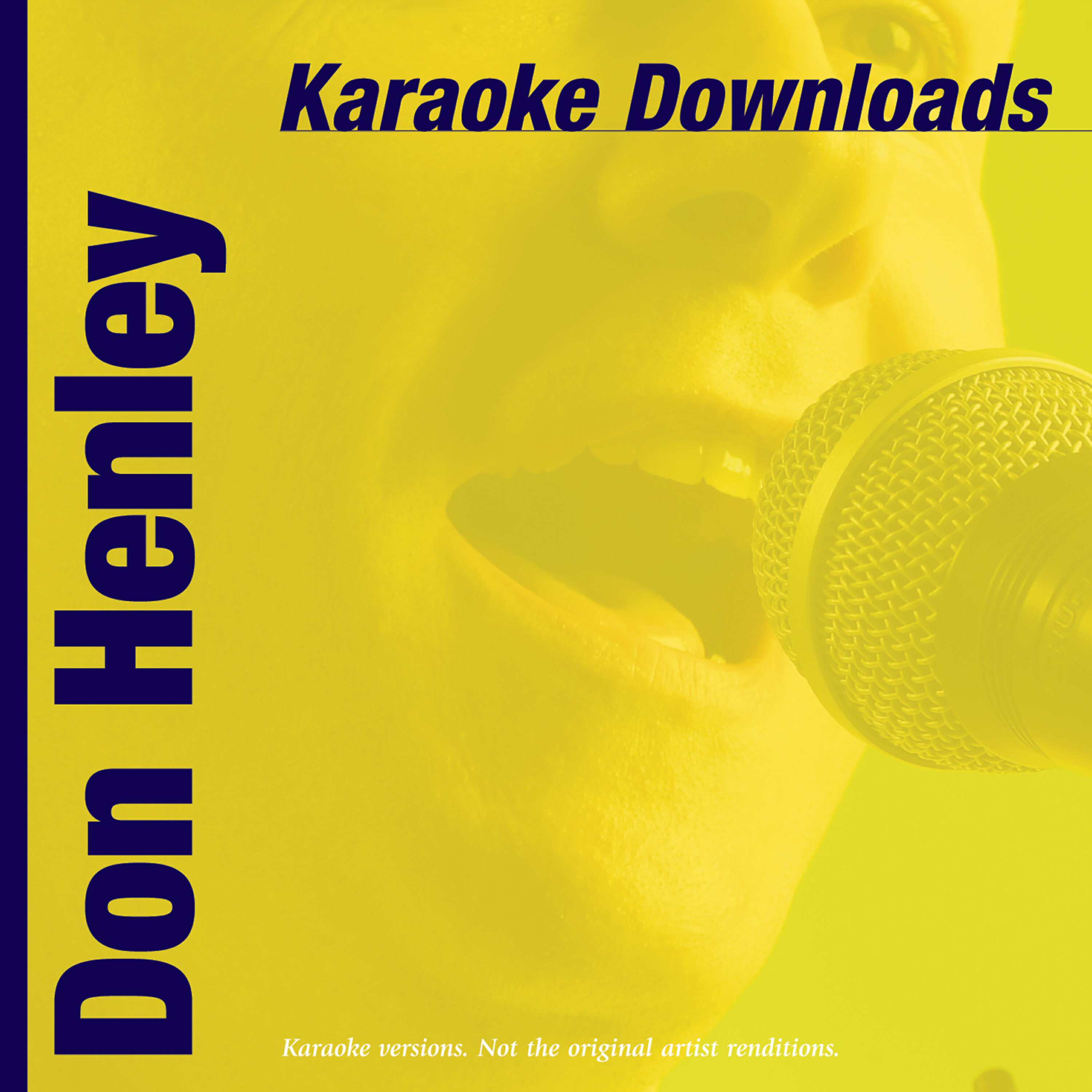Ameritz - Boys Of Summer (In The Style Of Don Henley)
