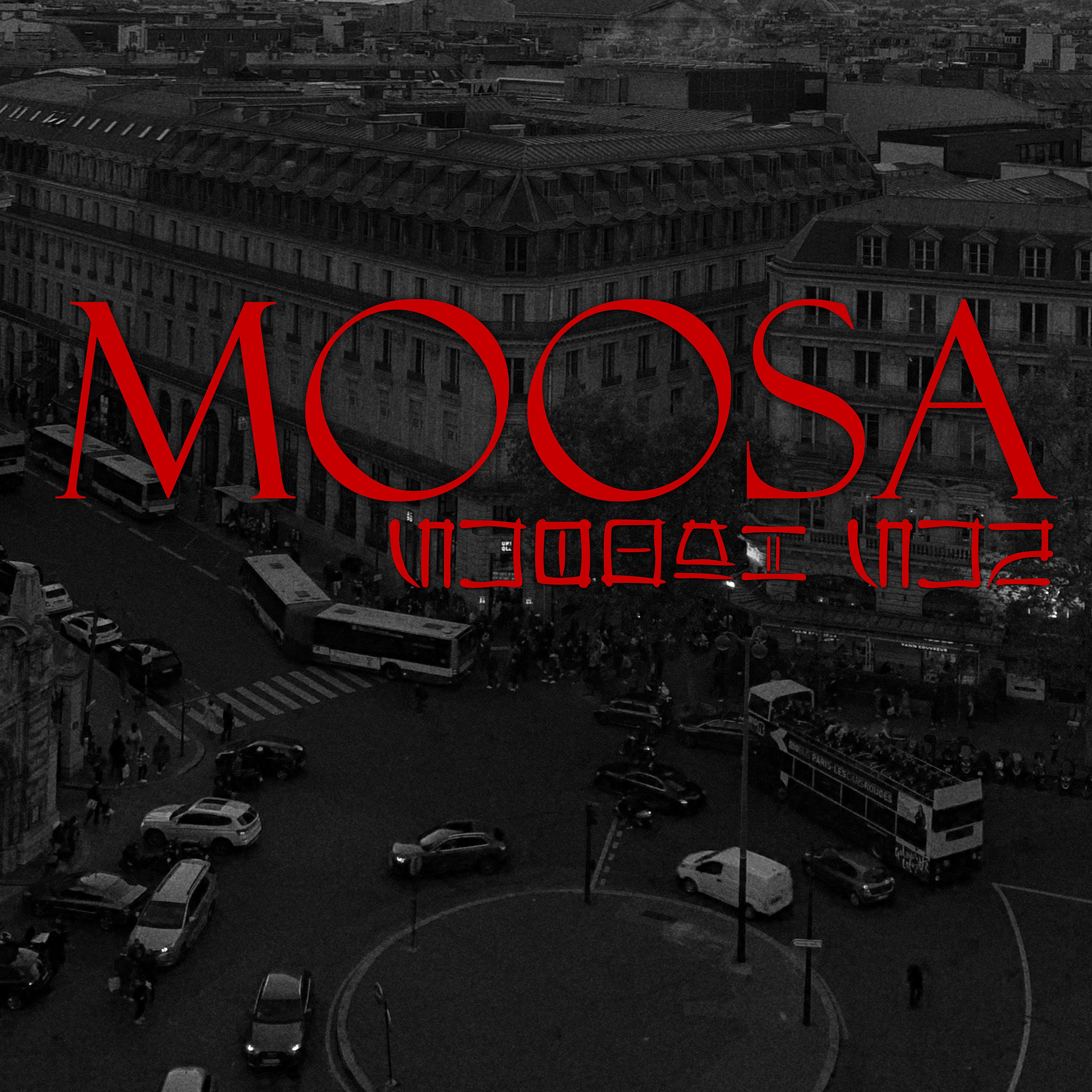 Постер альбома Moosa
