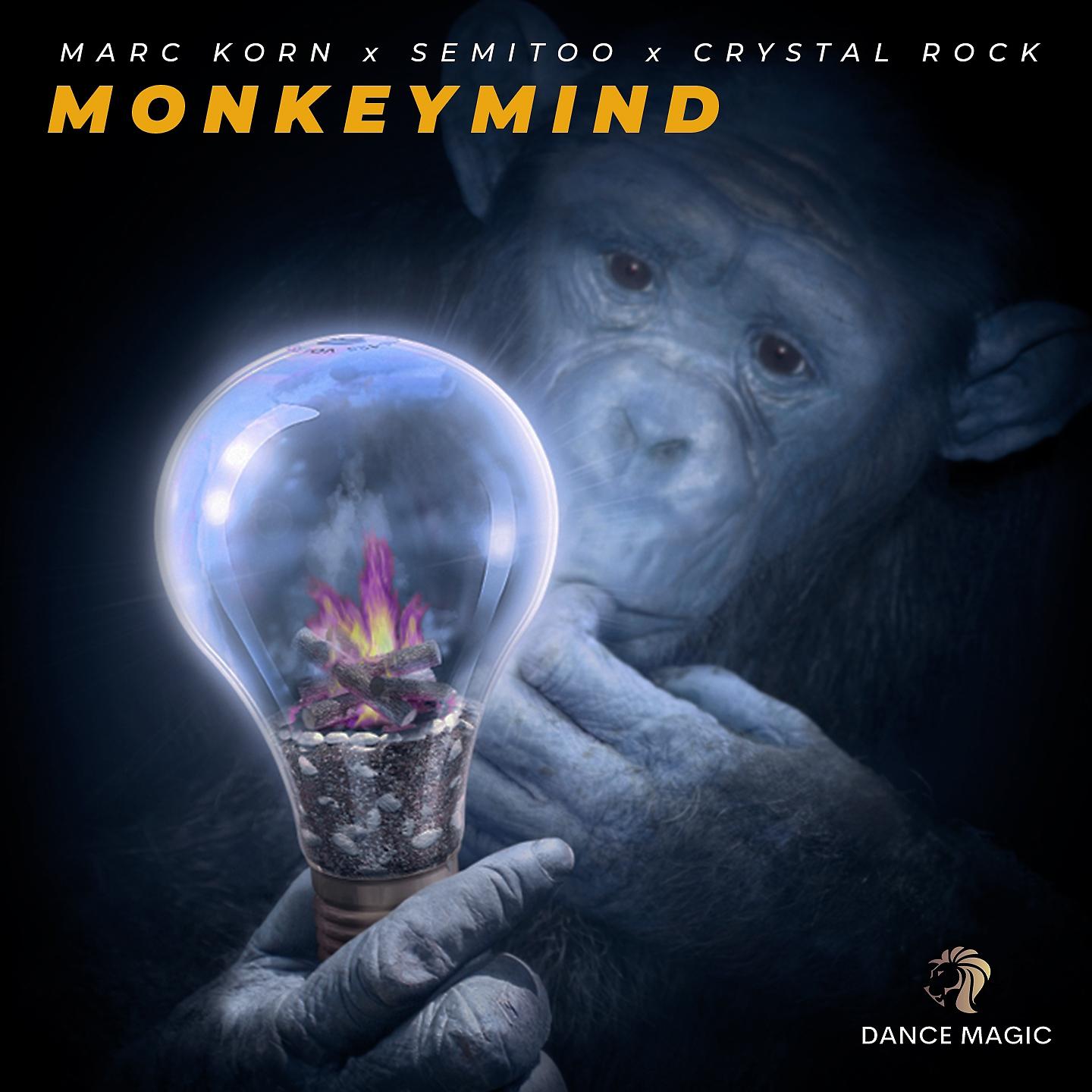 Постер альбома Monkeymind