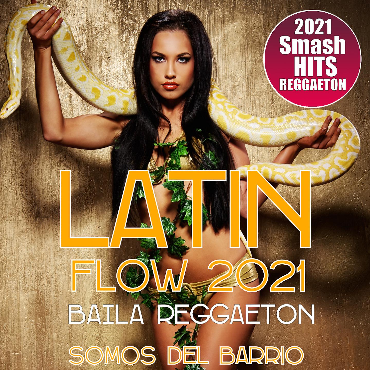 Постер альбома Latin Flow 2021 - Baila Reggaeton