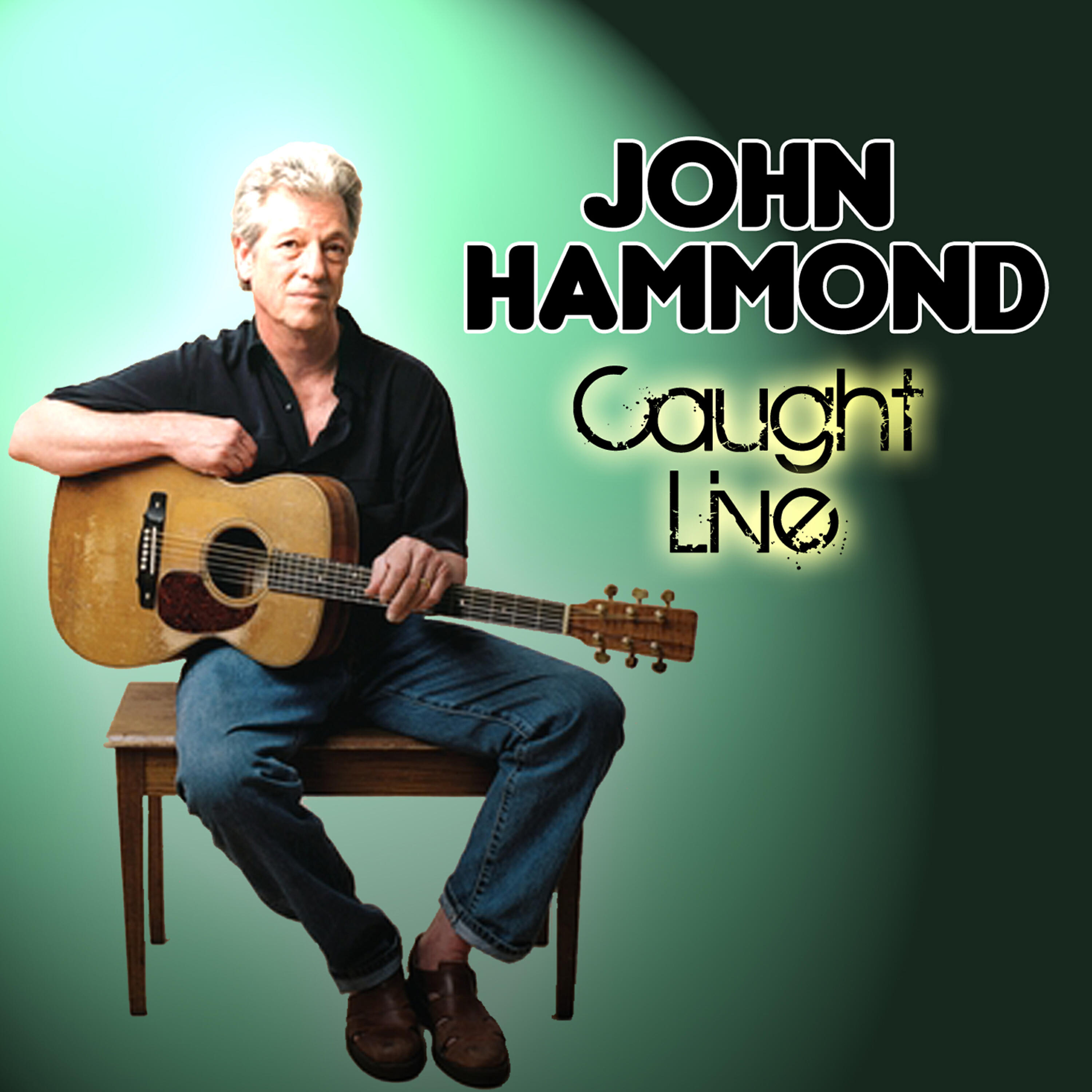 John Hammond - Gamblers Blues