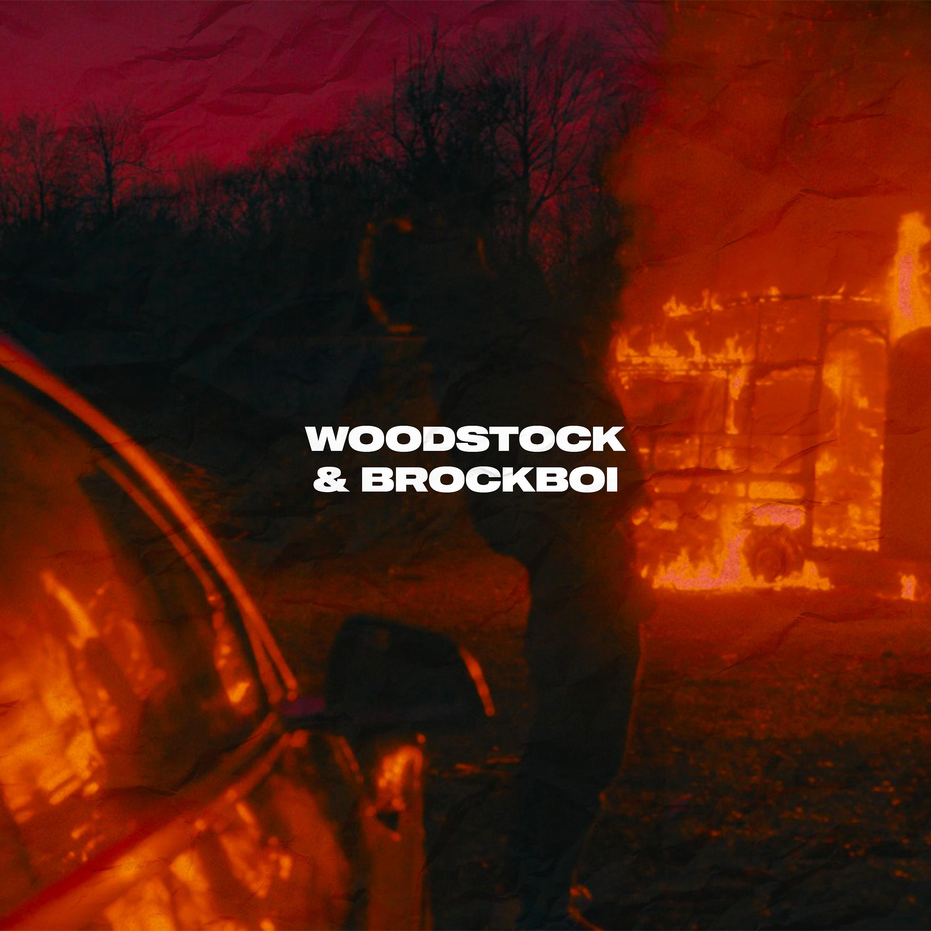 Постер альбома Woodstock & Brockboi