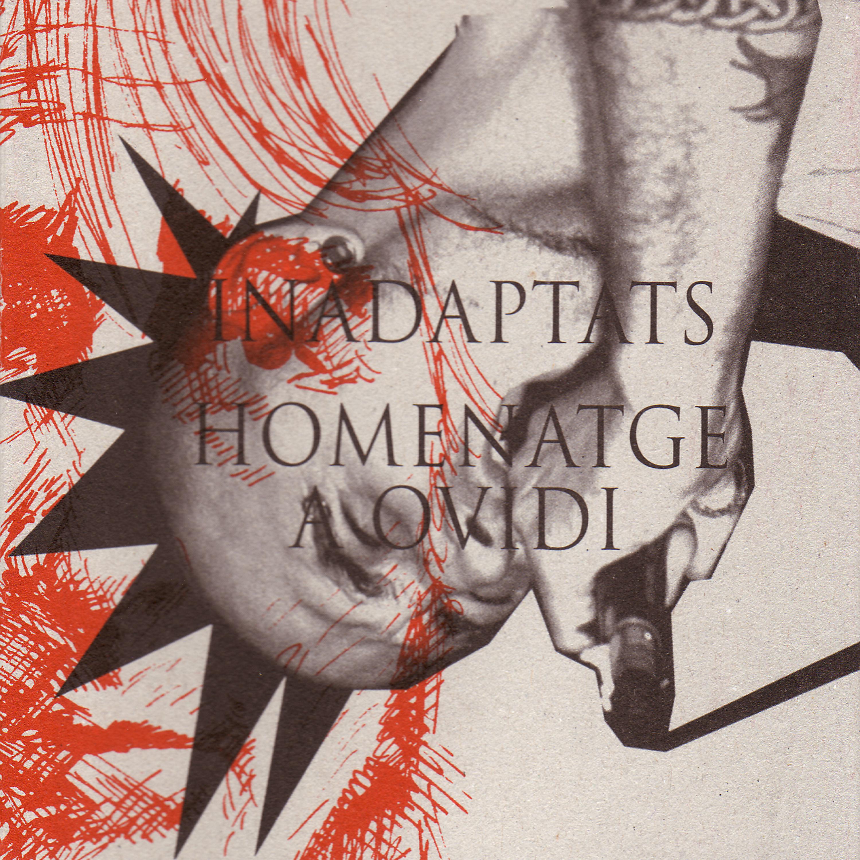 Постер альбома Homenatge a Ovidi