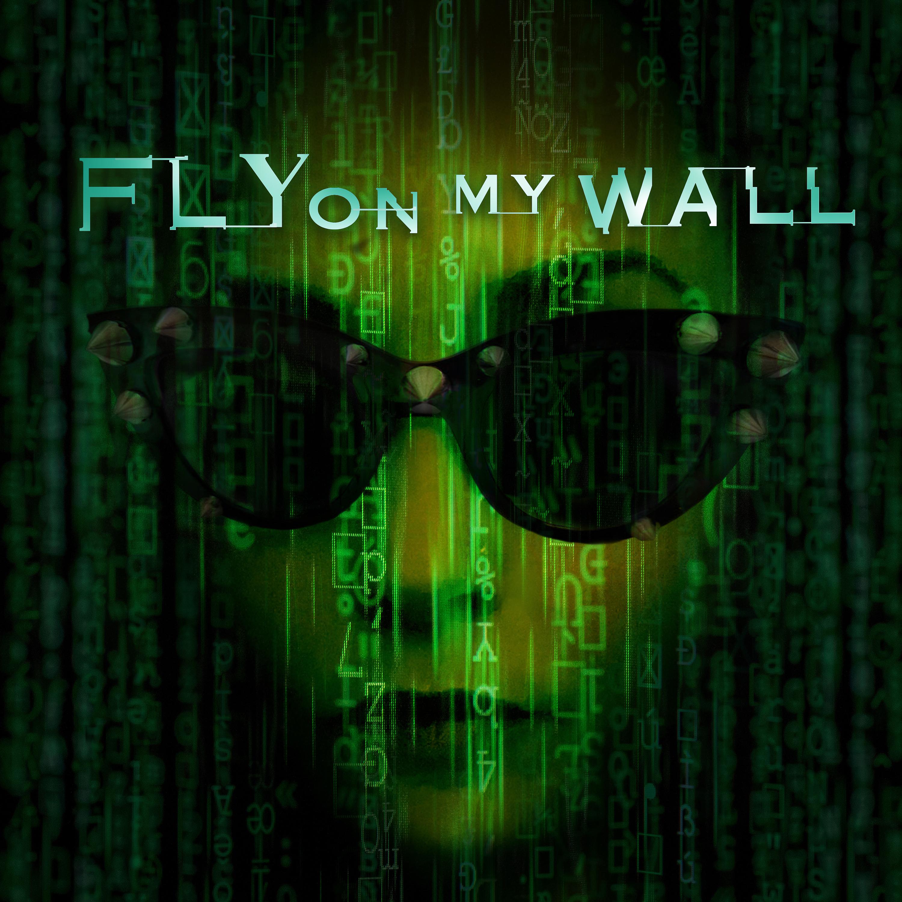 Постер альбома Fly on My Wall