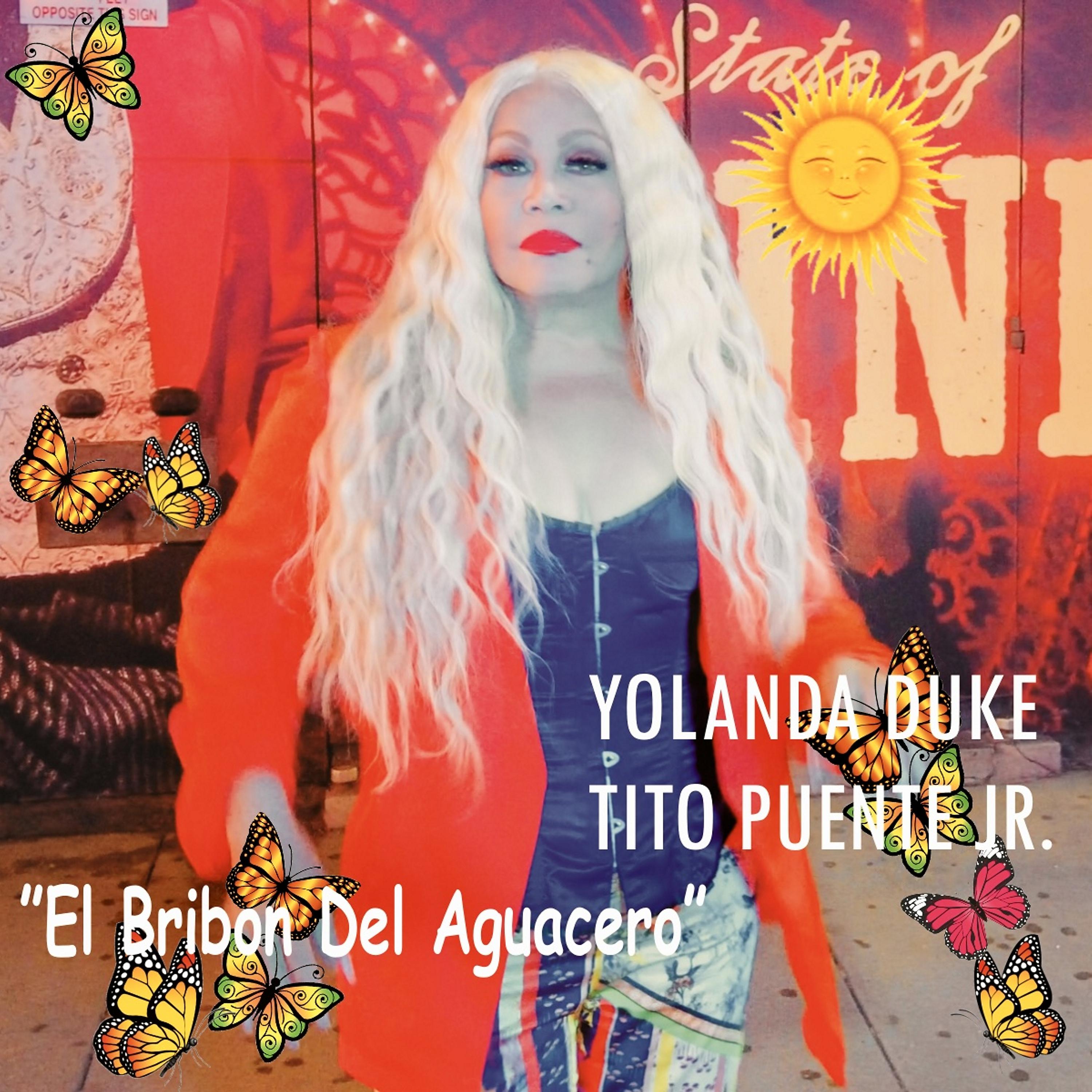 Постер альбома El Bribon del Aguacero (Radio Edit)