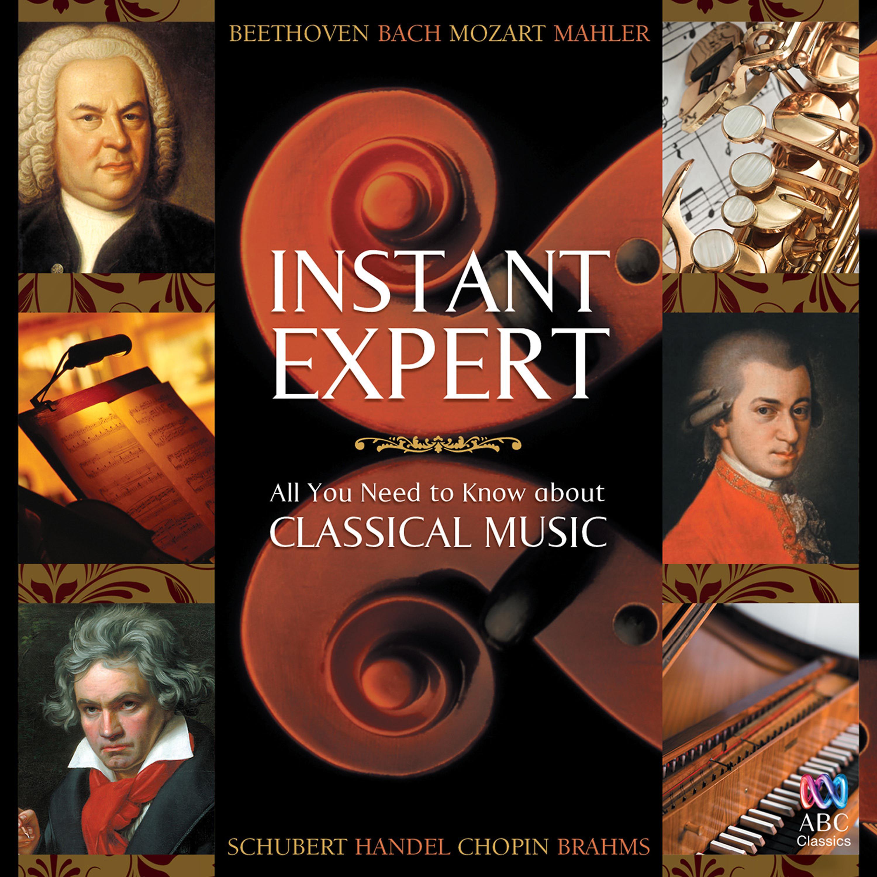 Постер альбома Instant Expert: All You Need to Know About Classical Music