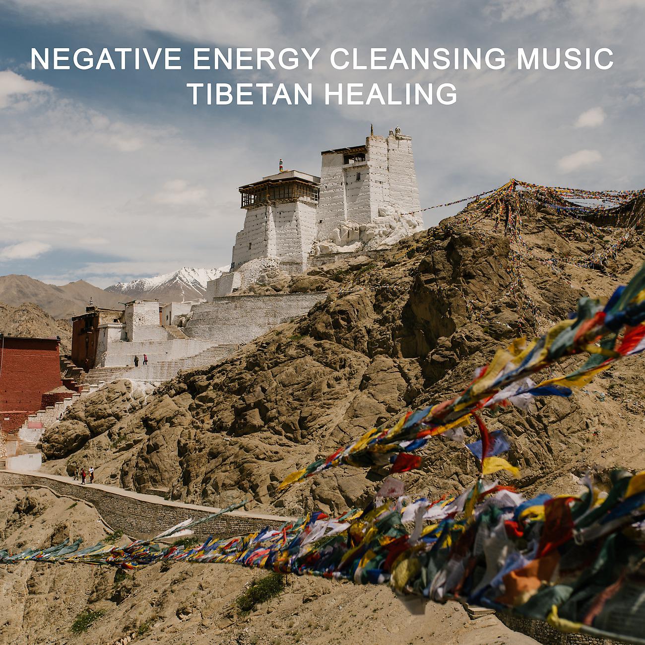 Постер альбома Negative Energy Cleansing Music