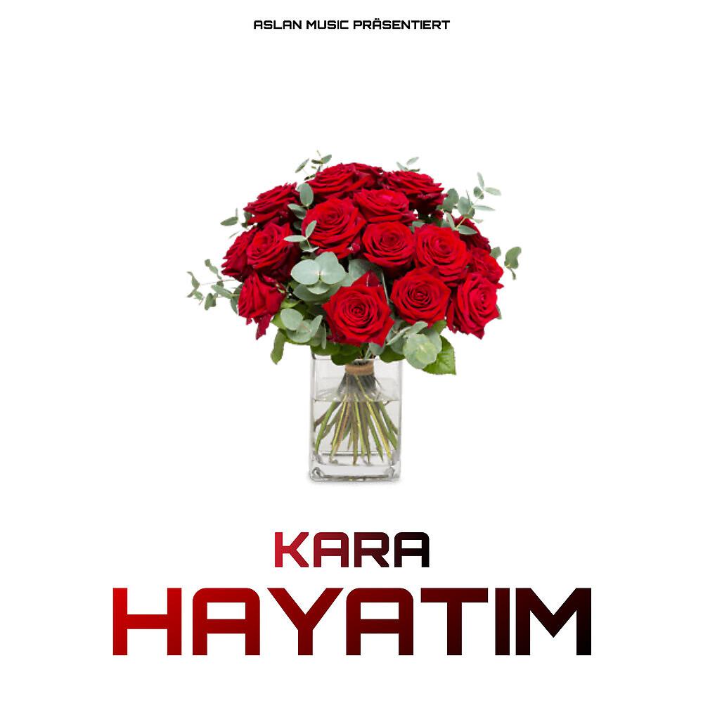 Постер альбома Hayatim