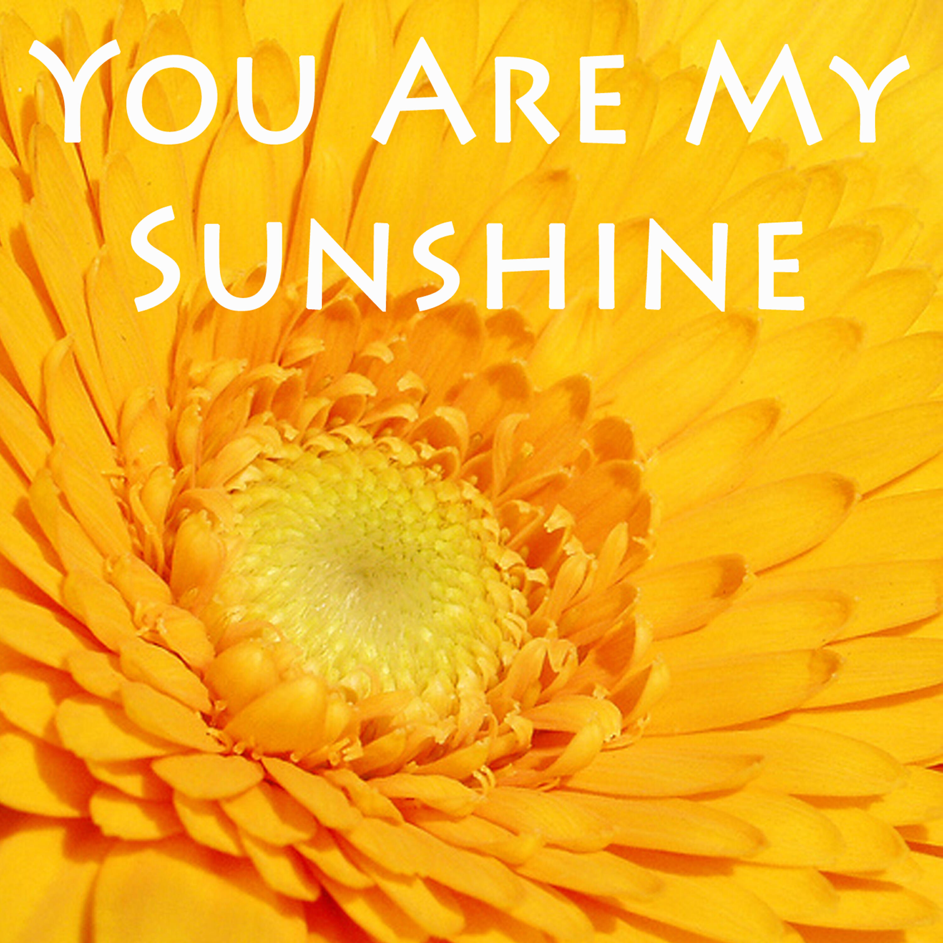 Classic Kids Music Makers - You Are My Sunshine