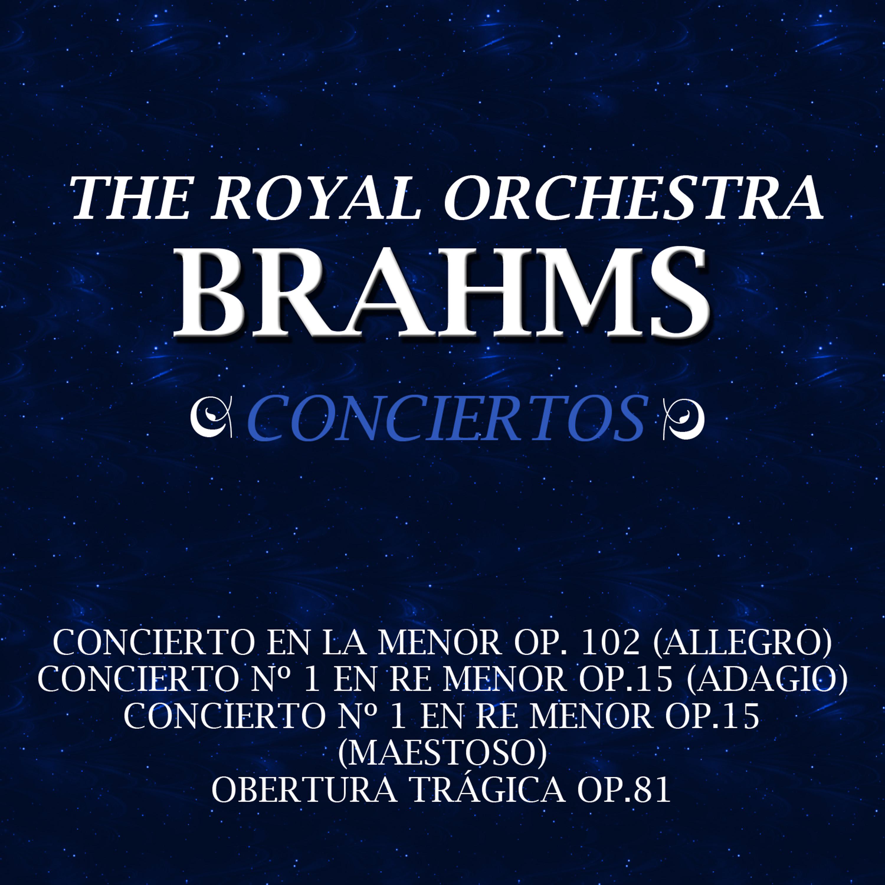 Постер альбома Clásica-Brahms-Conciertos