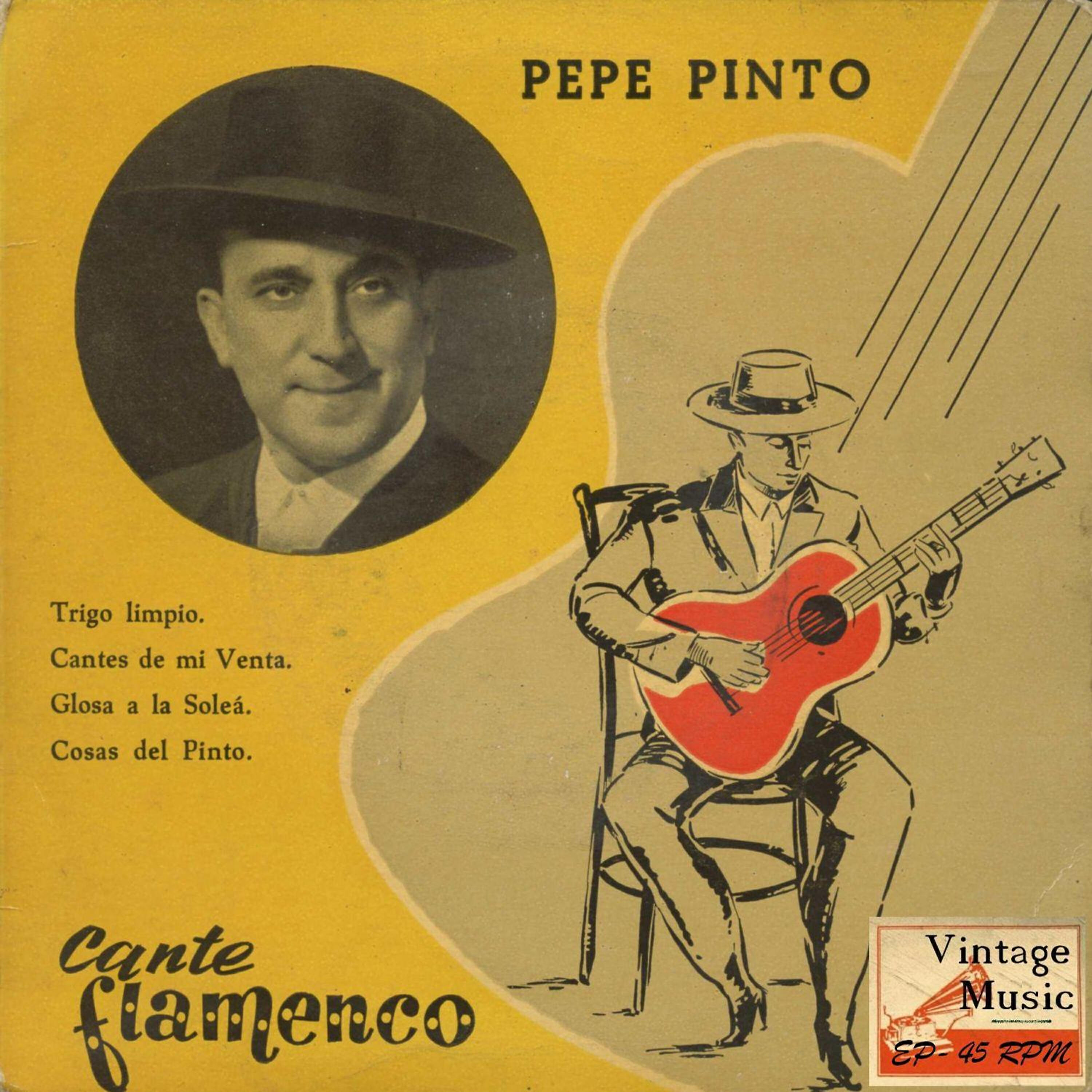 Pepe Pinto - Glosa a la Soleá (Toíto te lo Consiento)