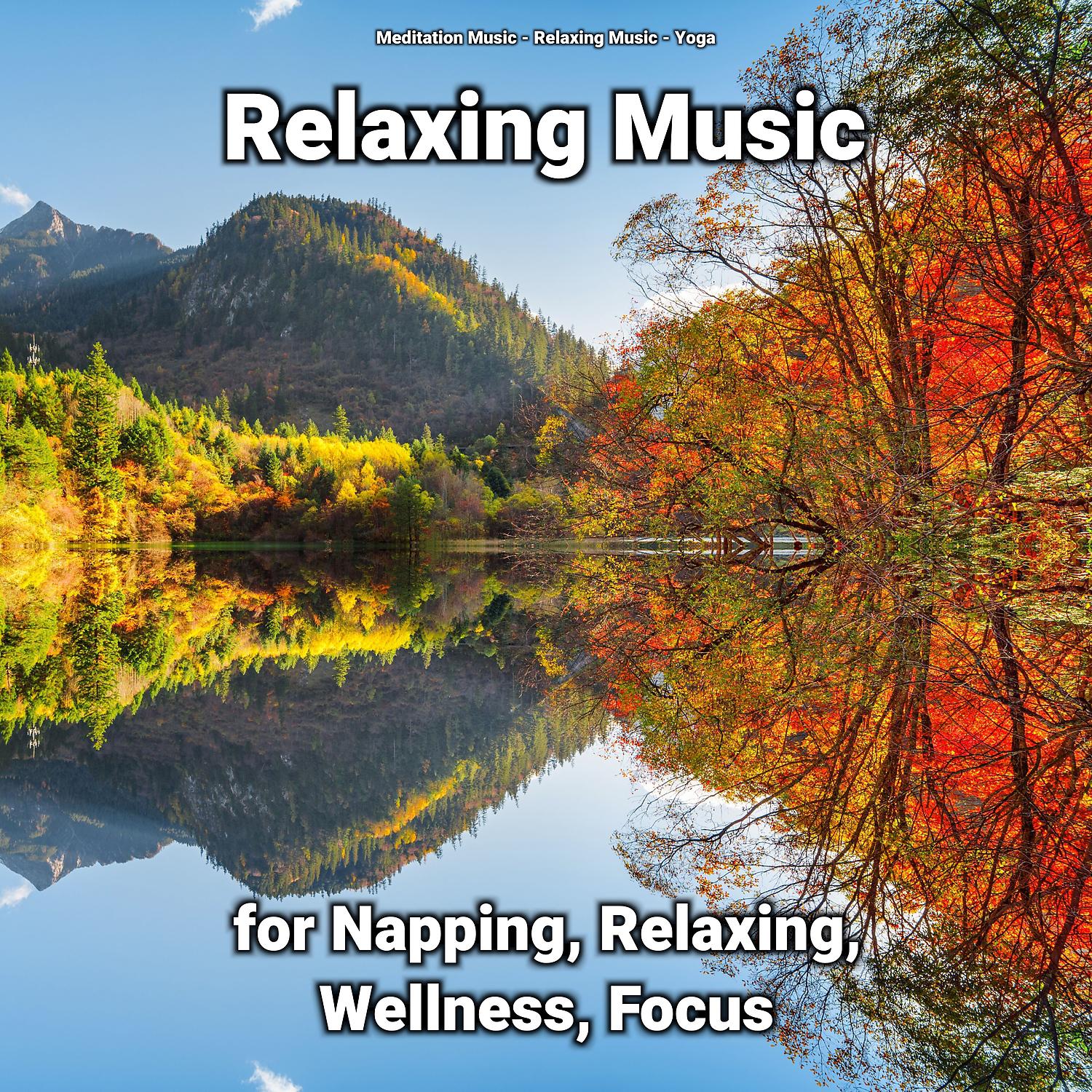 Постер альбома Relaxing Music for Napping, Relaxing, Wellness, Focus