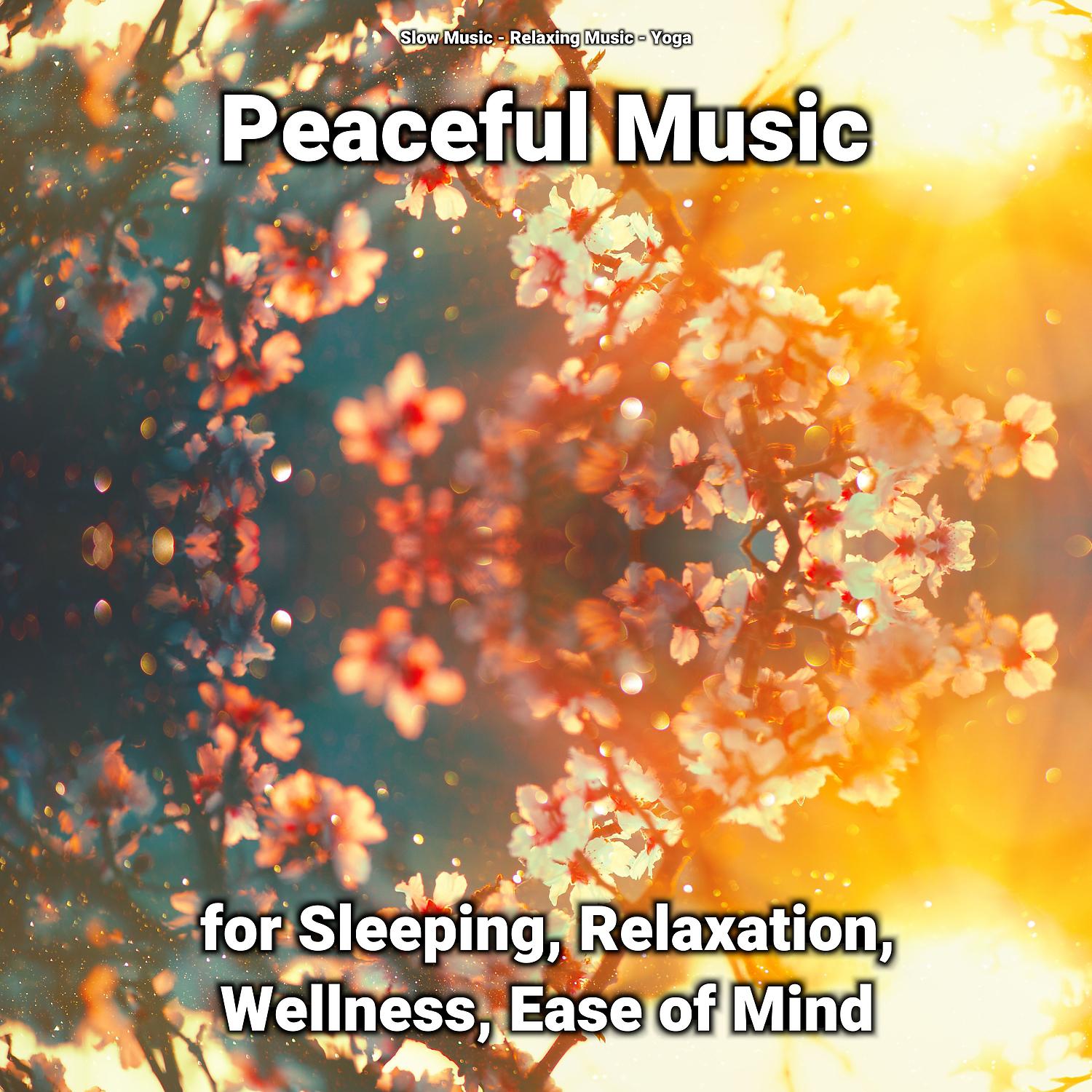 Постер альбома Peaceful Music for Sleeping, Relaxation, Wellness, Ease of Mind
