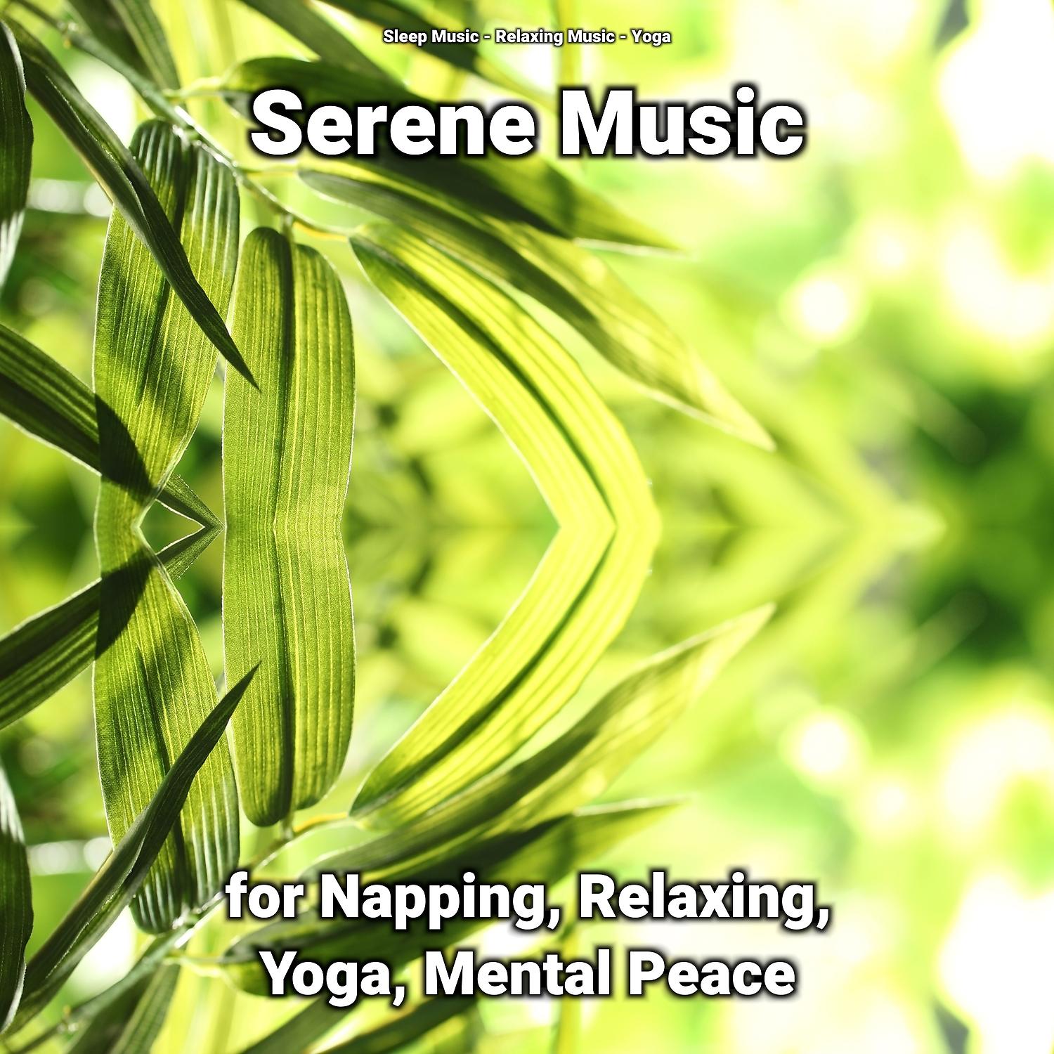 Постер альбома Serene Music for Napping, Relaxing, Yoga, Mental Peace