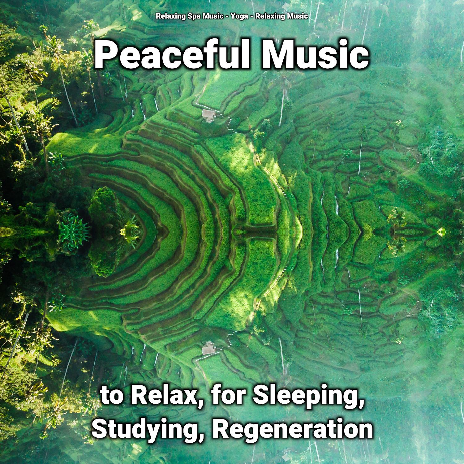 Постер альбома Peaceful Music to Relax, for Sleeping, Studying, Regeneration