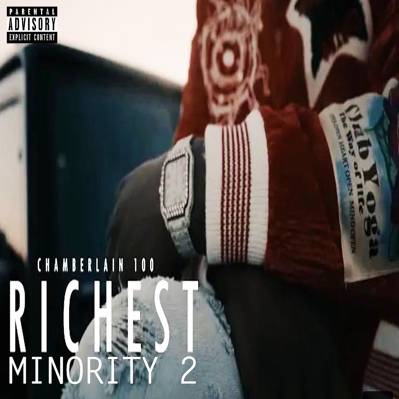 Постер альбома Richest Minority, Pt.2