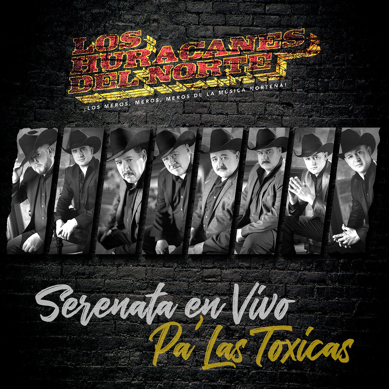 Постер альбома Serenata En Vivo Pa' Las Toxicas