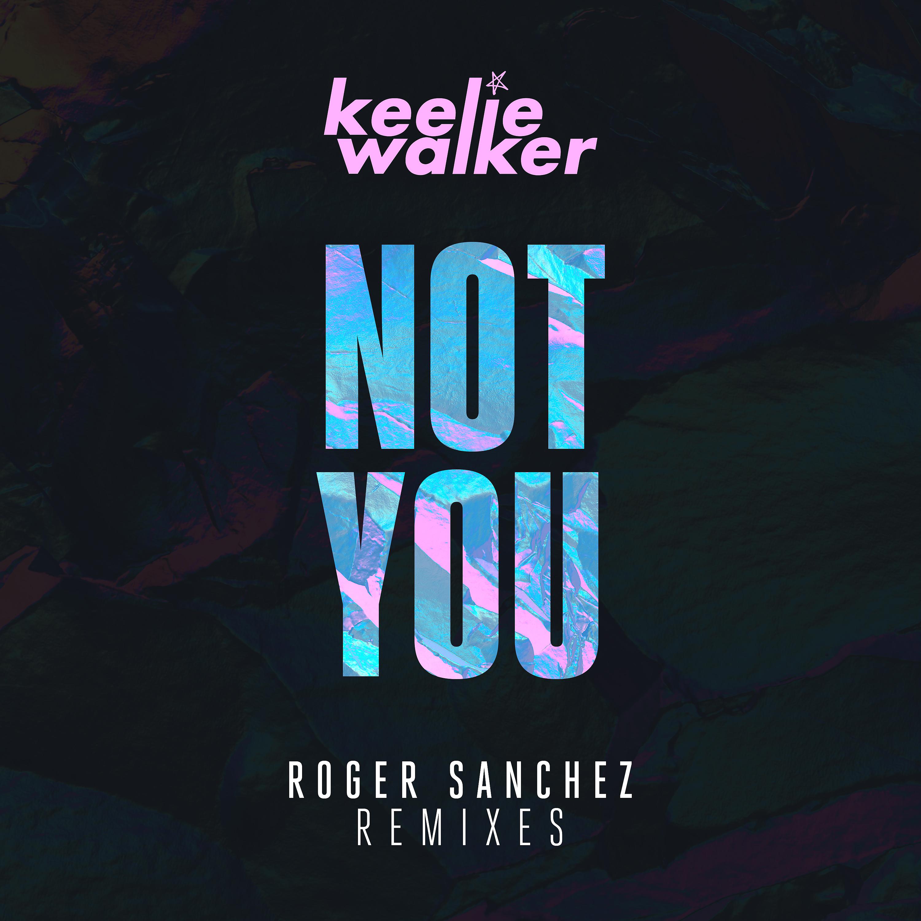Постер альбома Not You (Roger Sanchez Remixes)