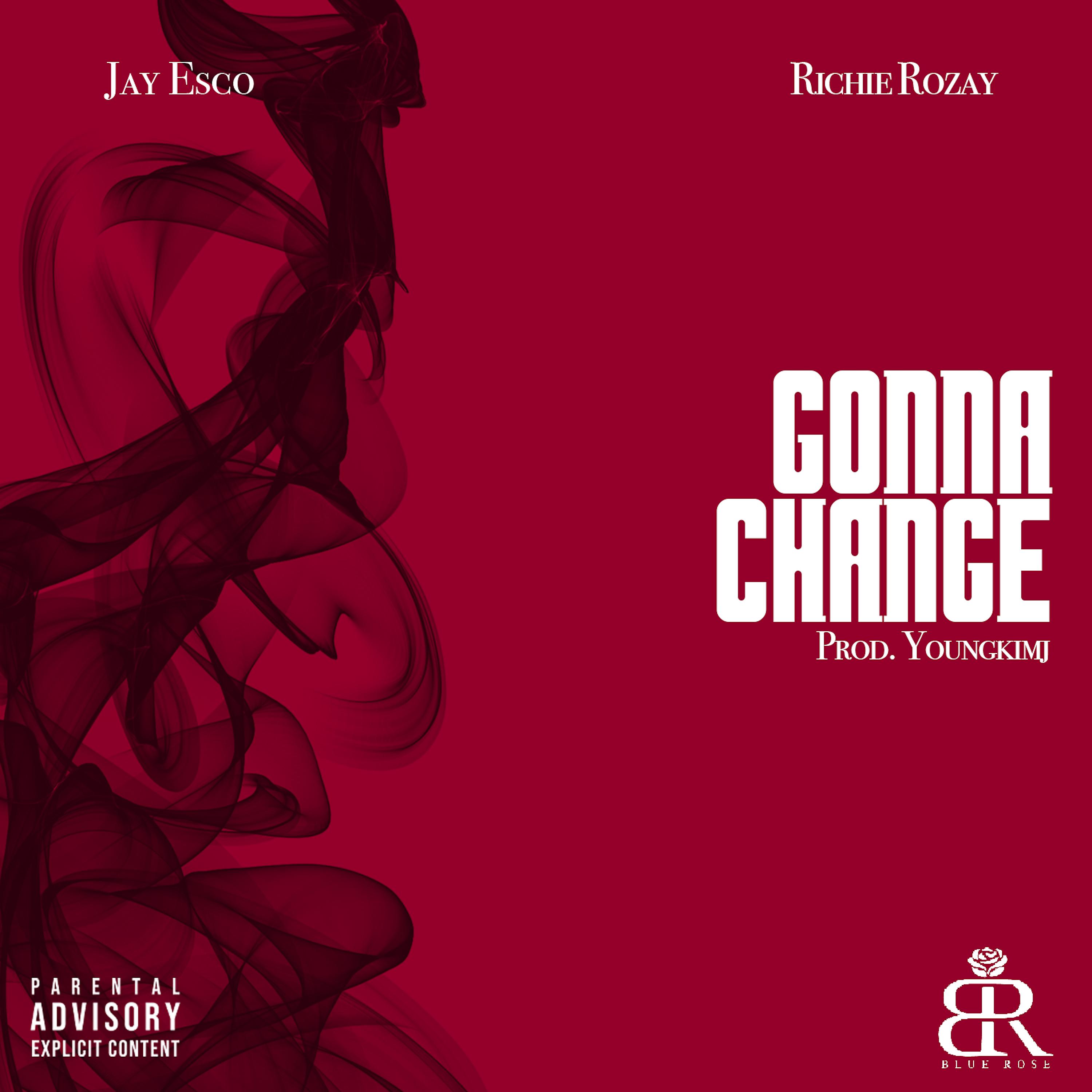 Постер альбома Gonna Change (feat. Richie Rozay)