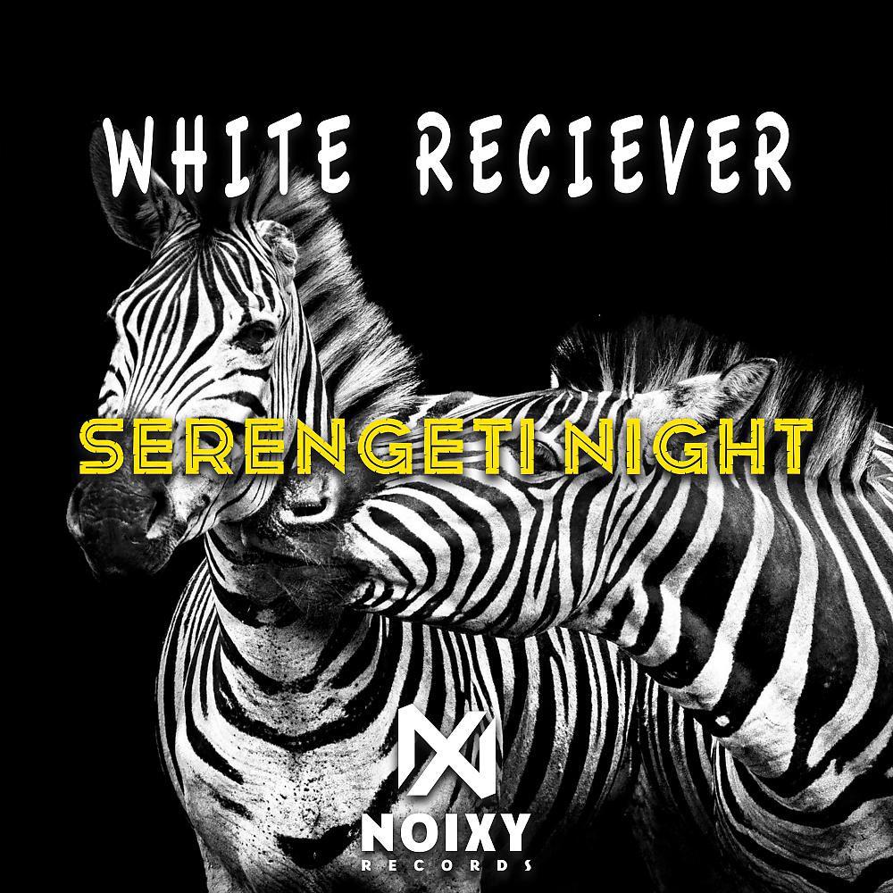 Постер альбома Serengeti Night