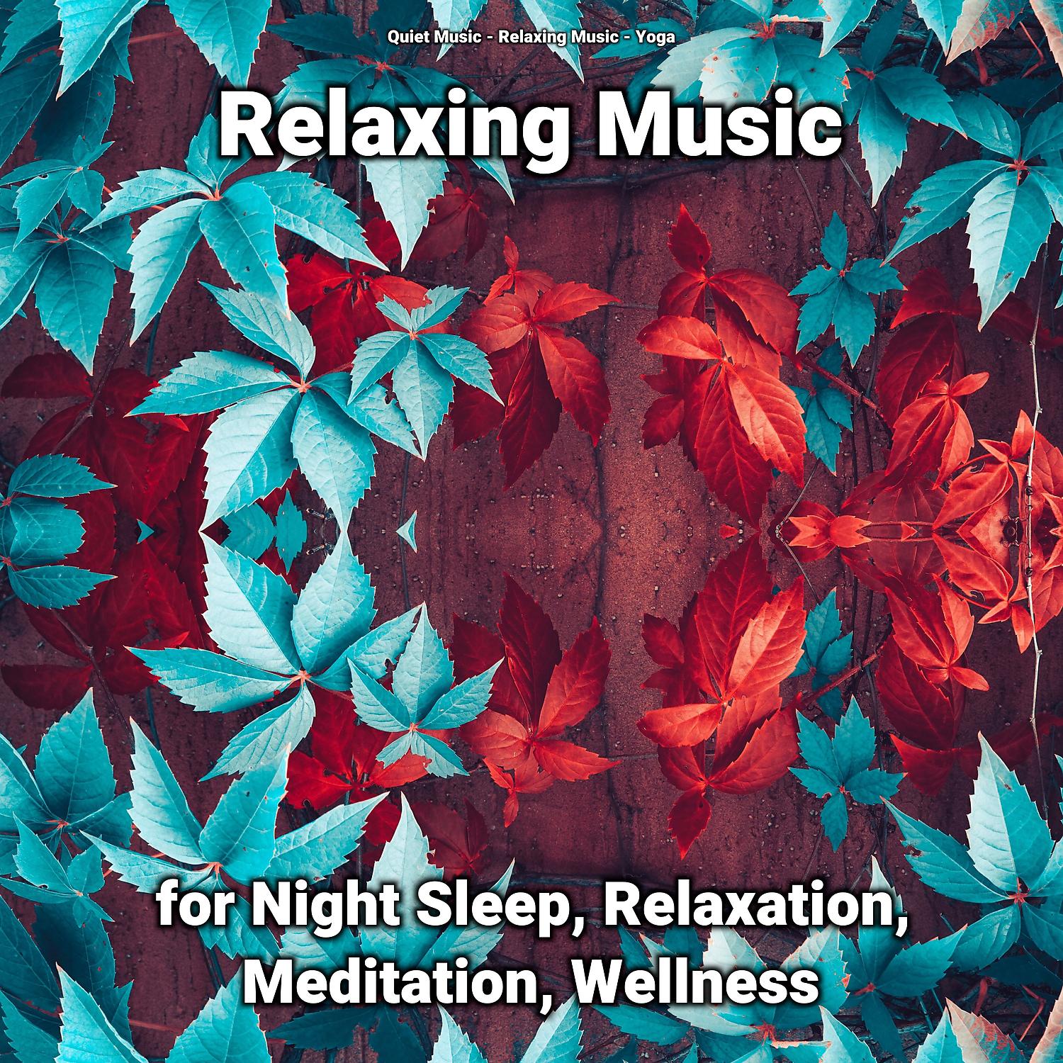 Постер альбома Relaxing Music for Night Sleep, Relaxation, Meditation, Wellness