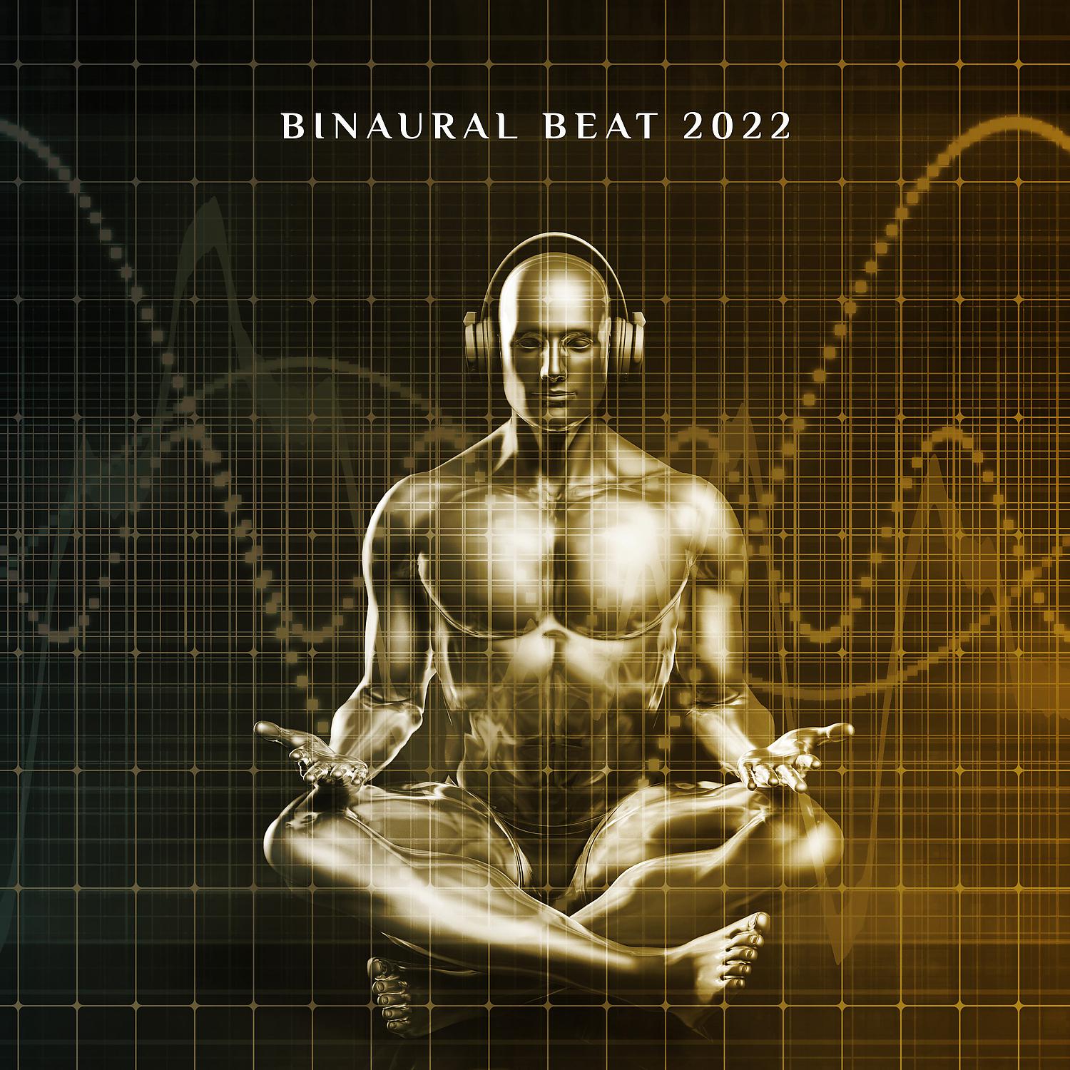 Постер альбома Binaural Beat 2022: Theta Wave, 100% Pure Theta Frequency