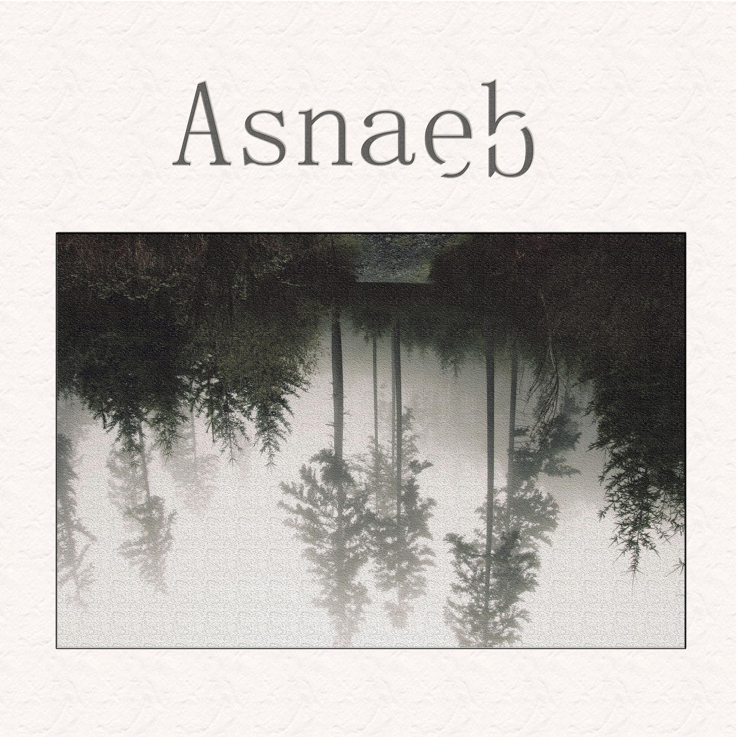 Постер альбома Asnaeb