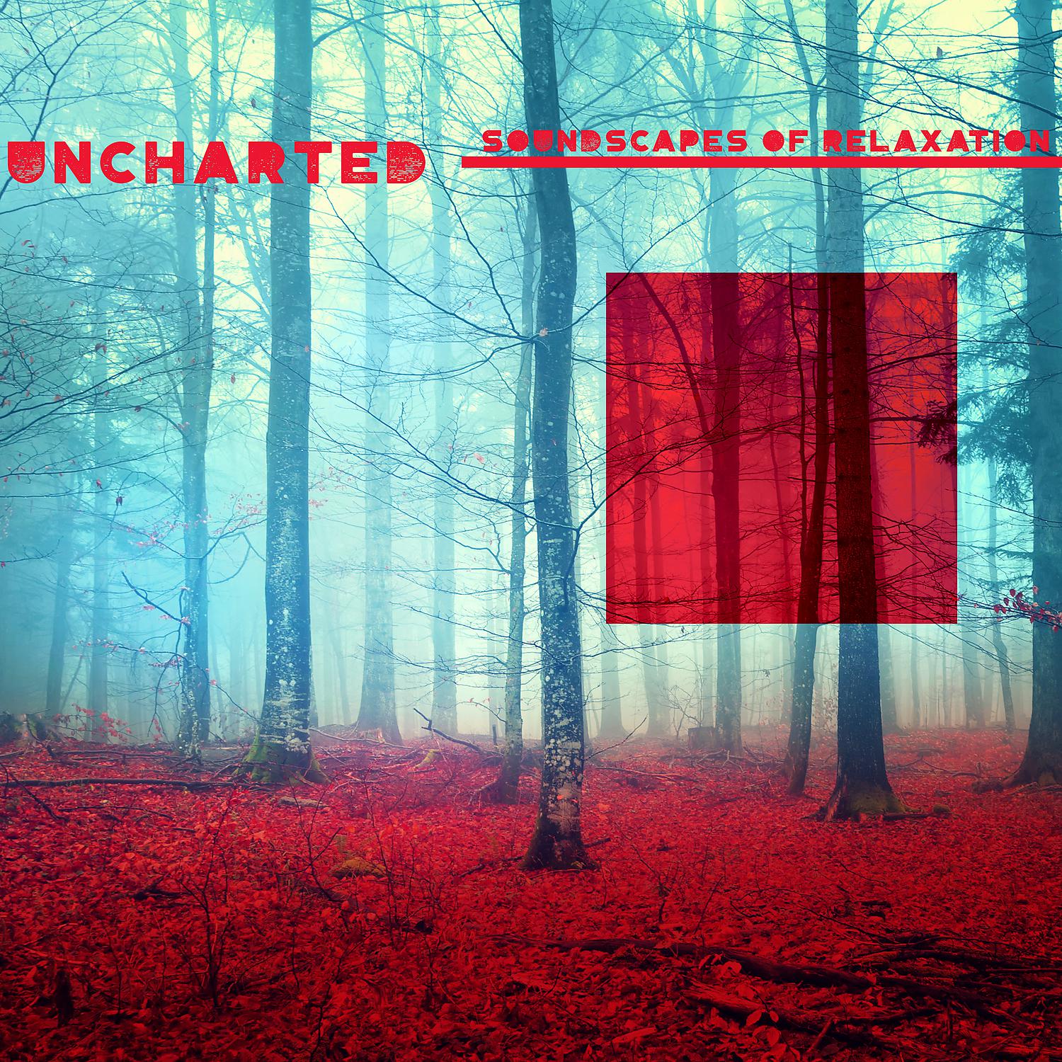 Постер альбома Uncharted Soundscapes of Relaxation