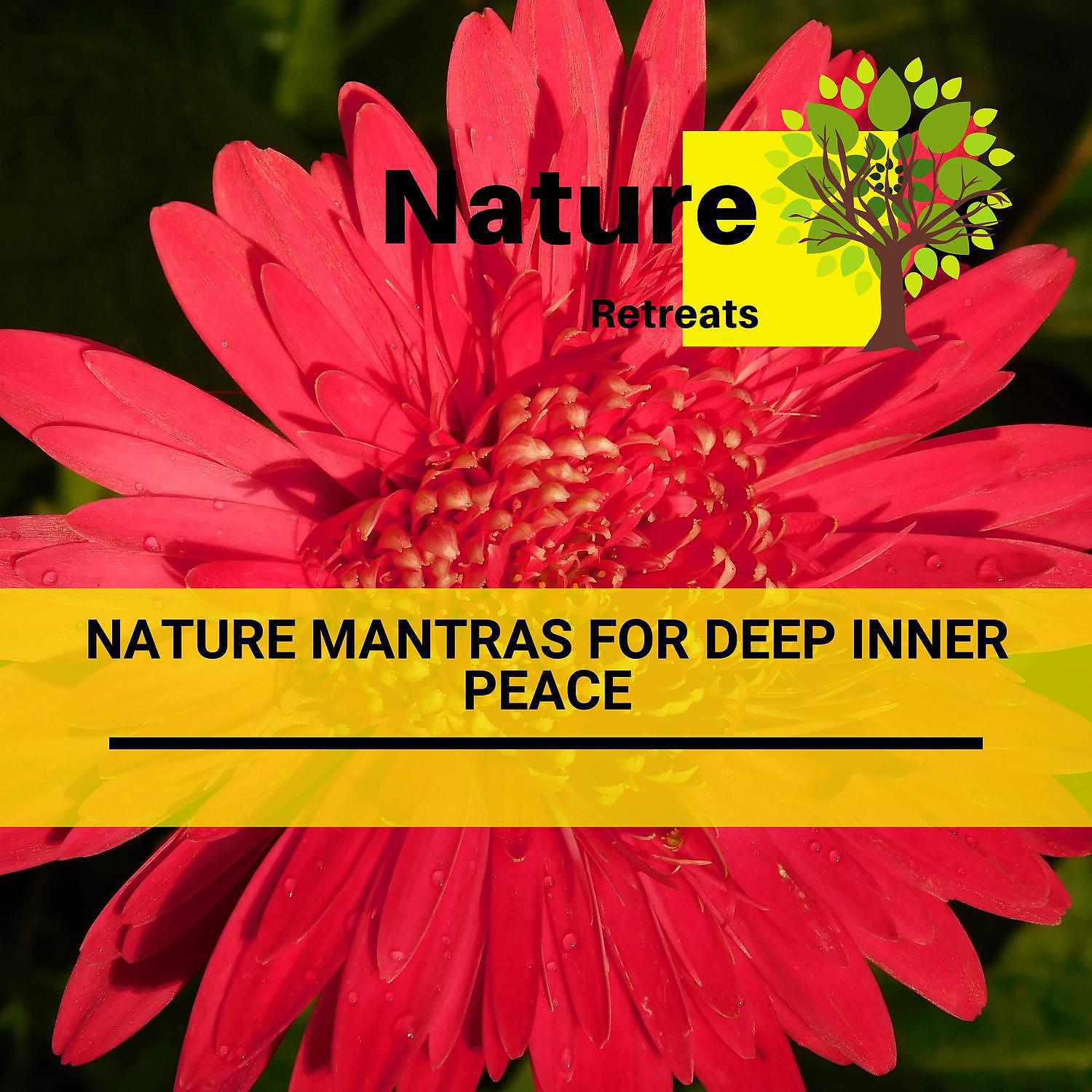 Постер альбома Nature Mantras for Deep Inner Peace