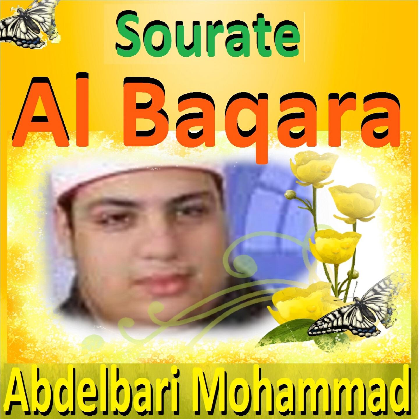 Abdelbari Mohammad - Sourate Al Baqara, Pt. 2